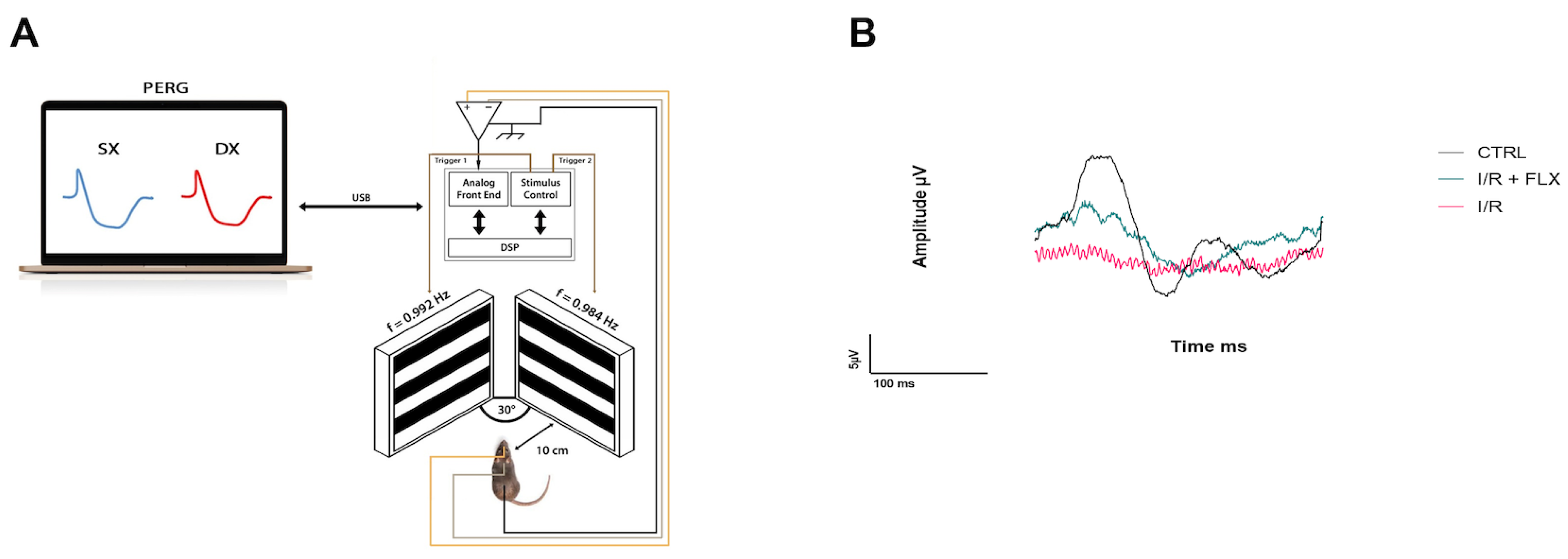 Pharmaceutics 15 01370 g001