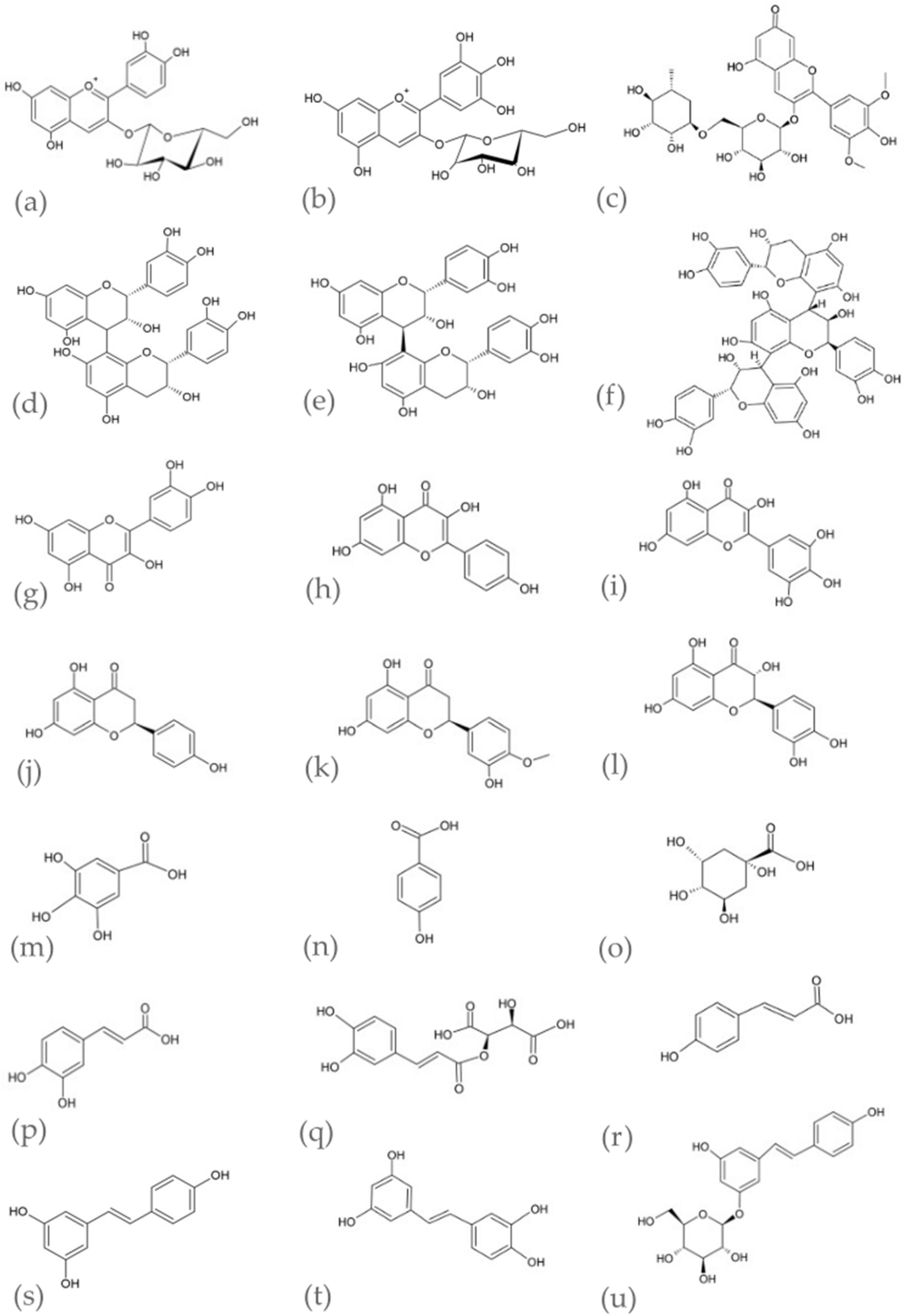 Pharmaceutics 15 01372 g001 Pharmaceutics 15 01372 g001