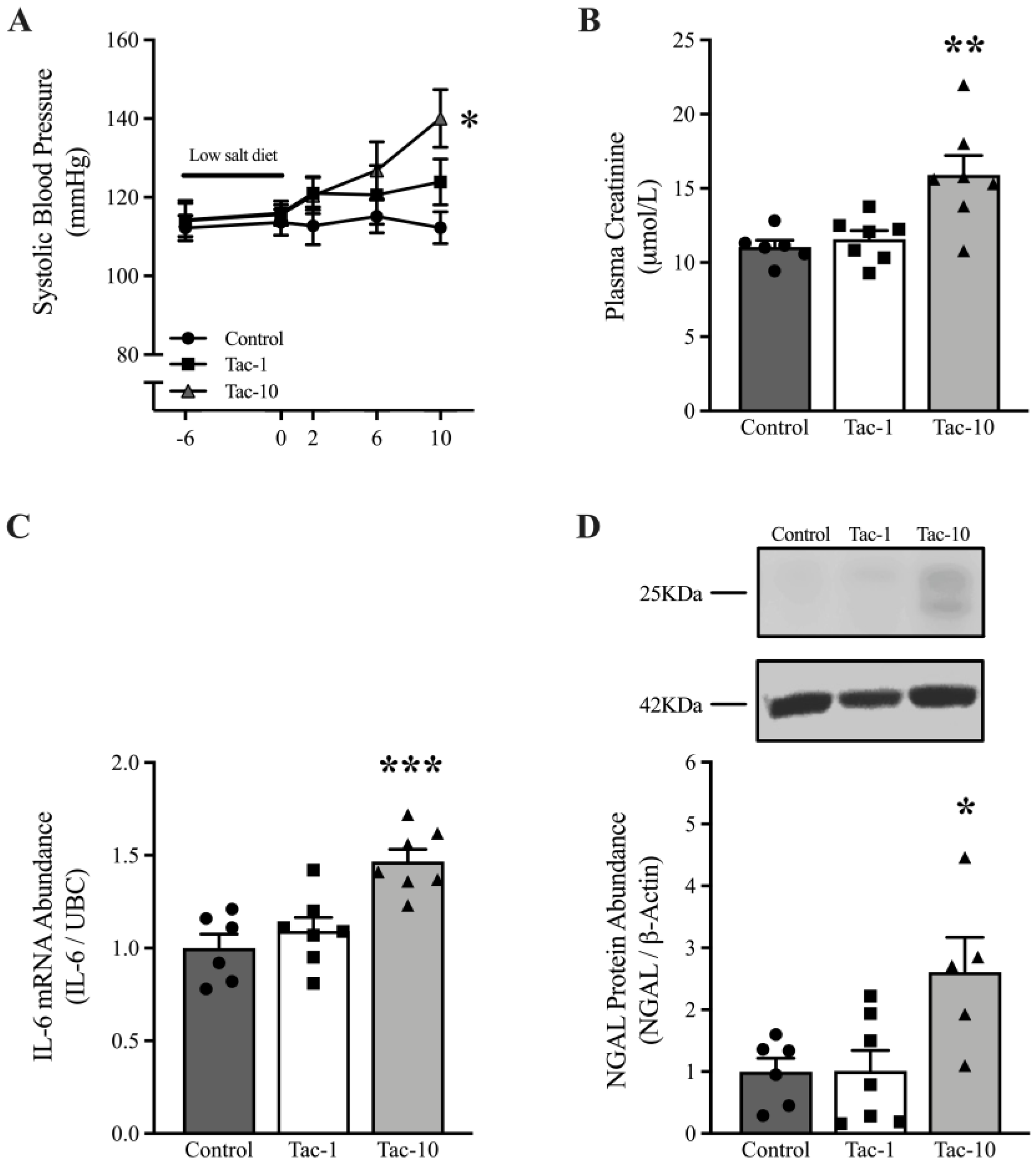 Pharmaceutics 15 01373 g001