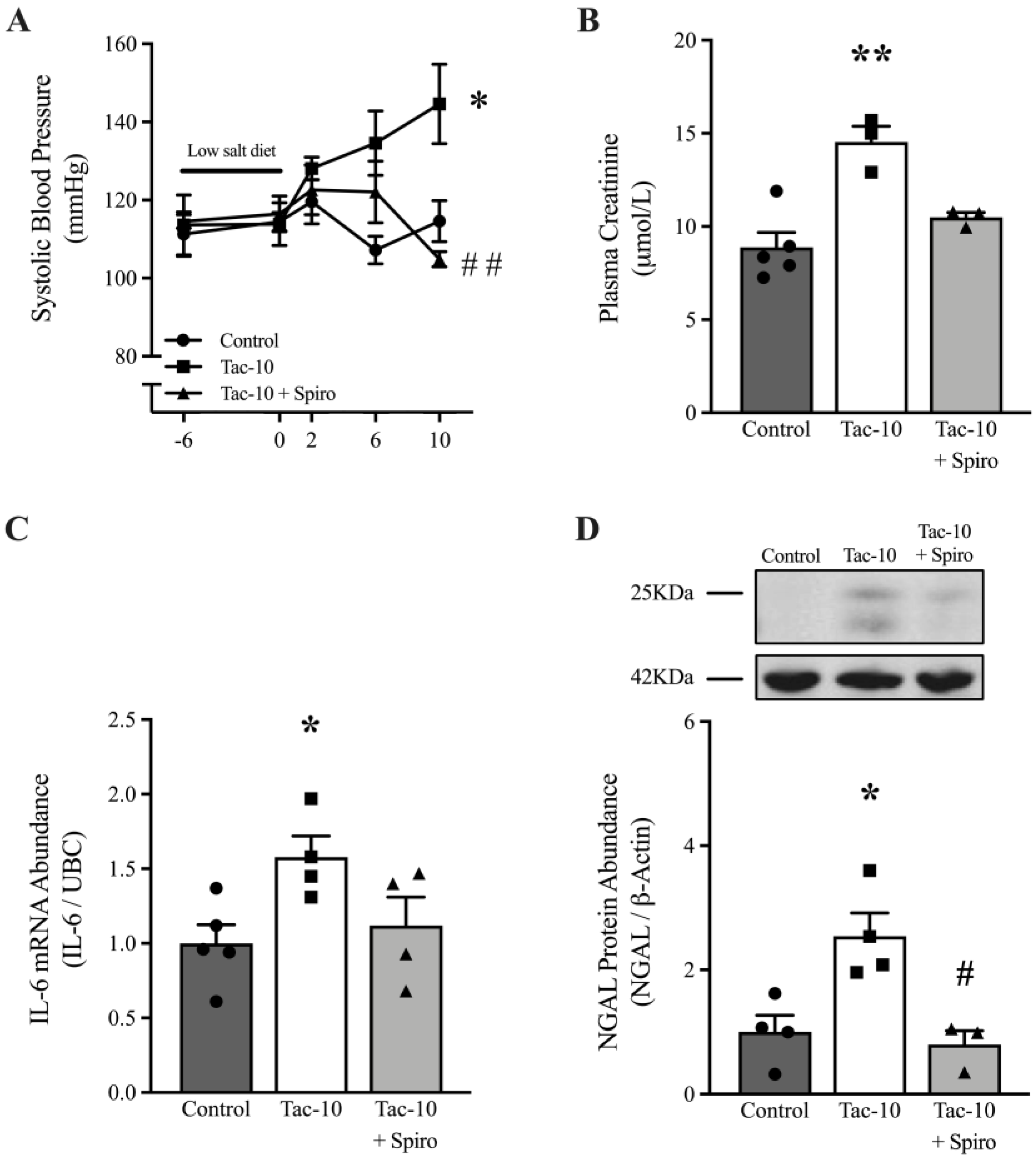Pharmaceutics 15 01373 g002