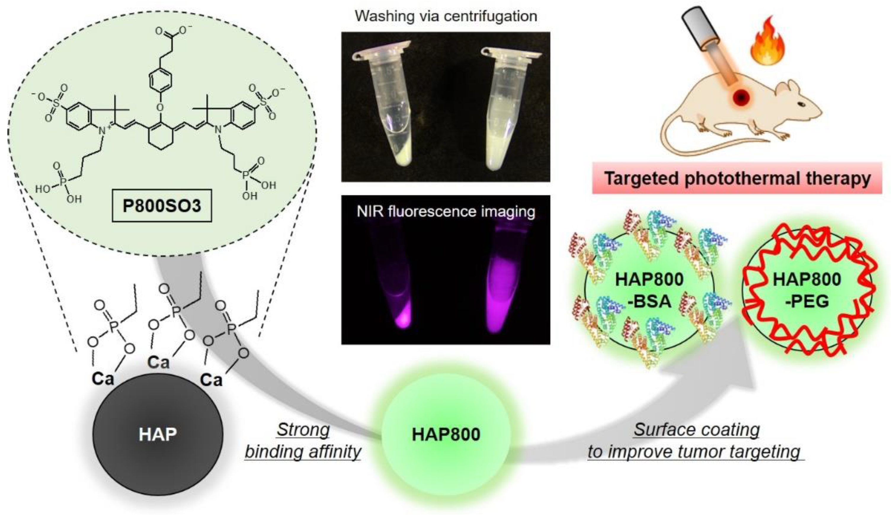 Pharmaceutics 15 01374 g001 Pharmaceutics 15 01374 g001