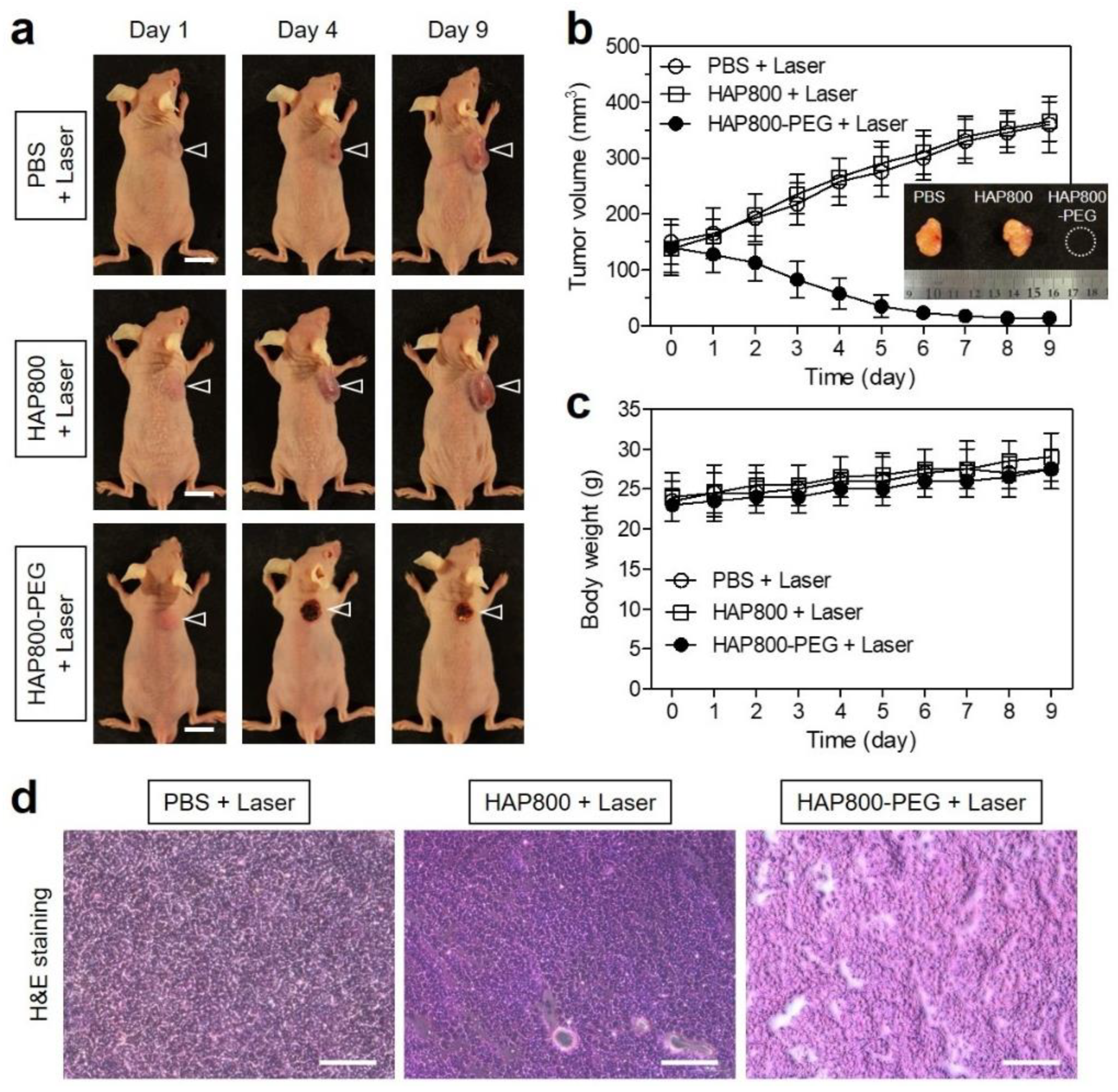 Pharmaceutics 15 01374 g006 Pharmaceutics 15 01374 g006