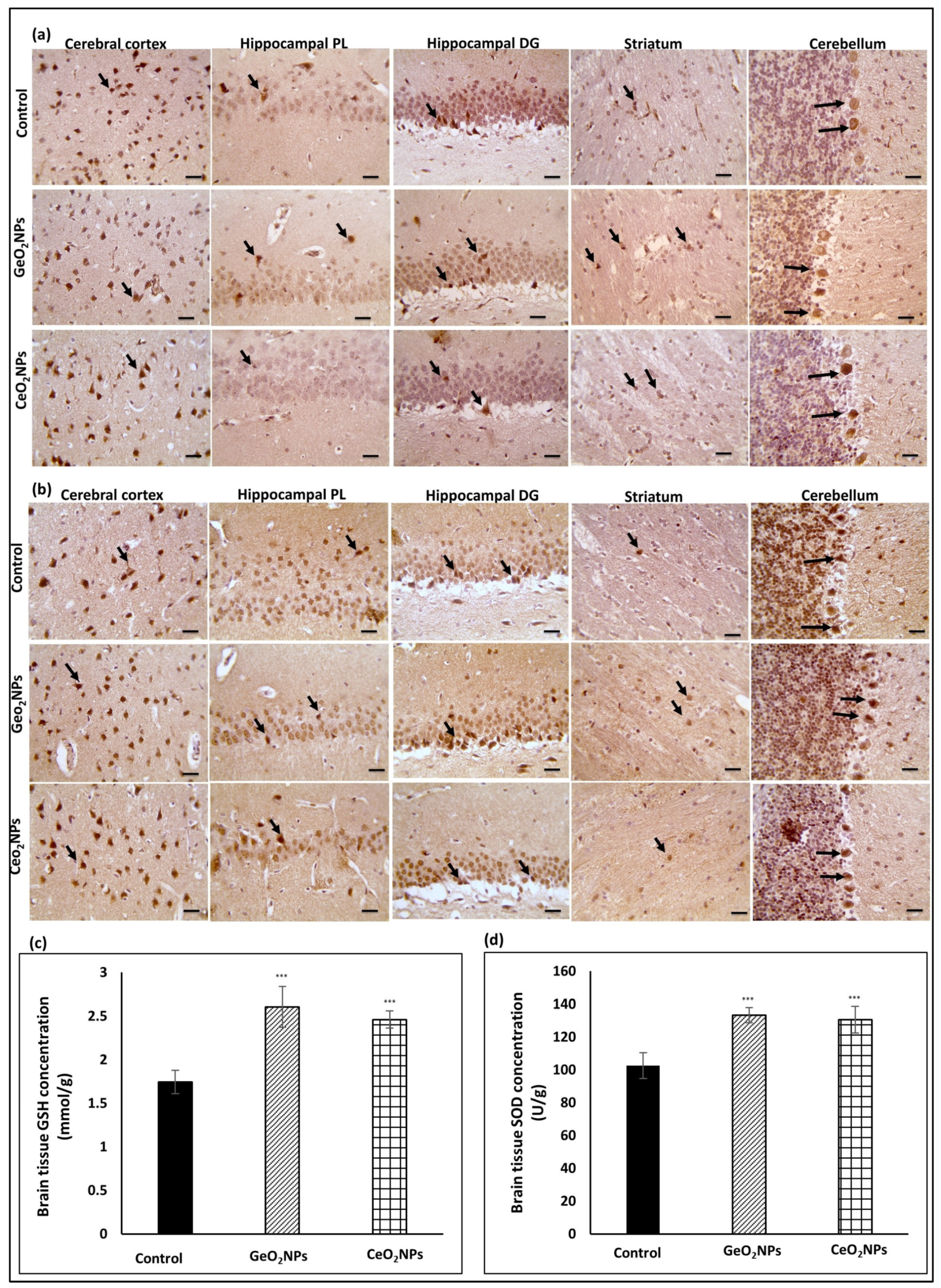 Pharmaceutics 15 01386 g003
