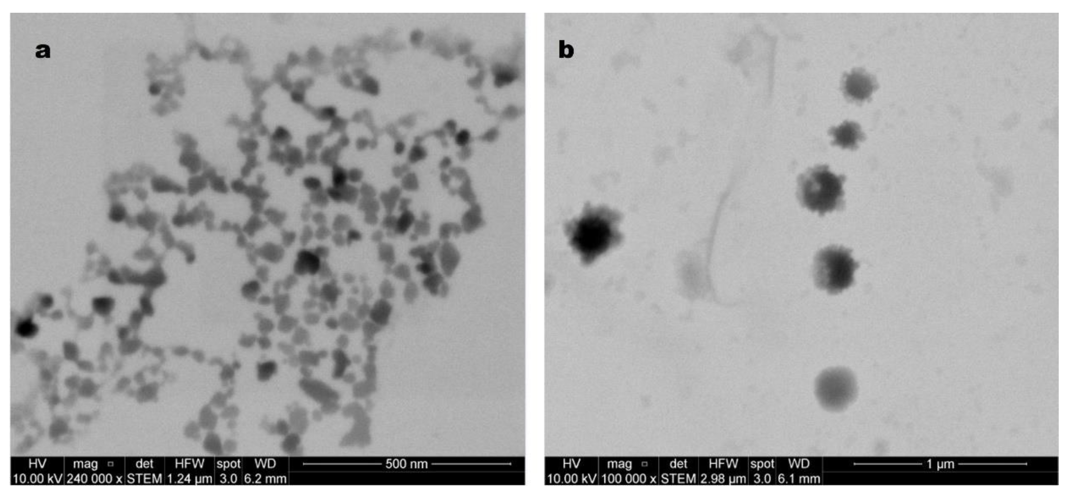 Pharmaceutics 15 01387 g004