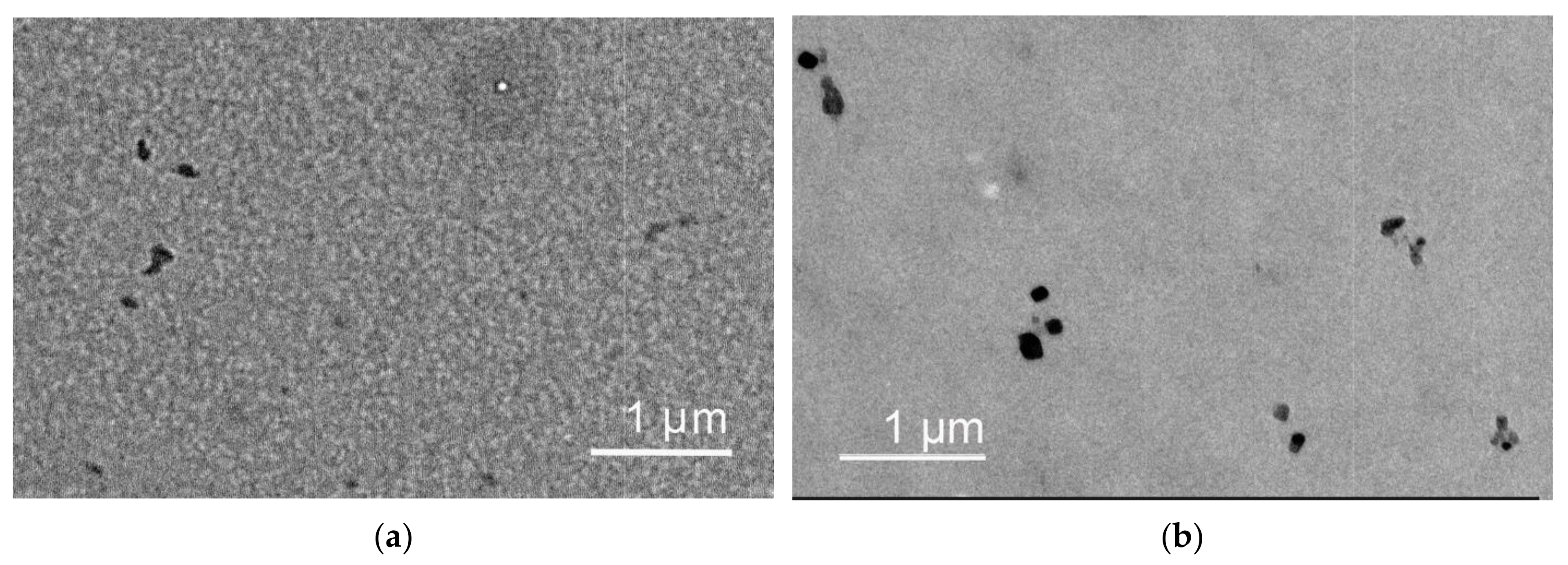Pharmaceutics 15 01388 g003