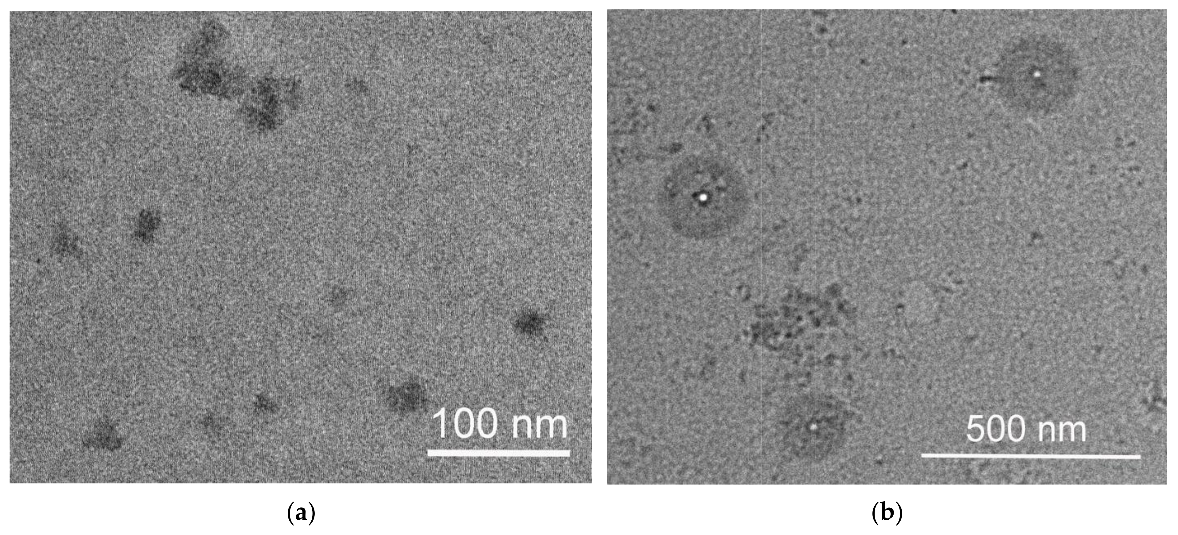 Pharmaceutics 15 01388 g009a