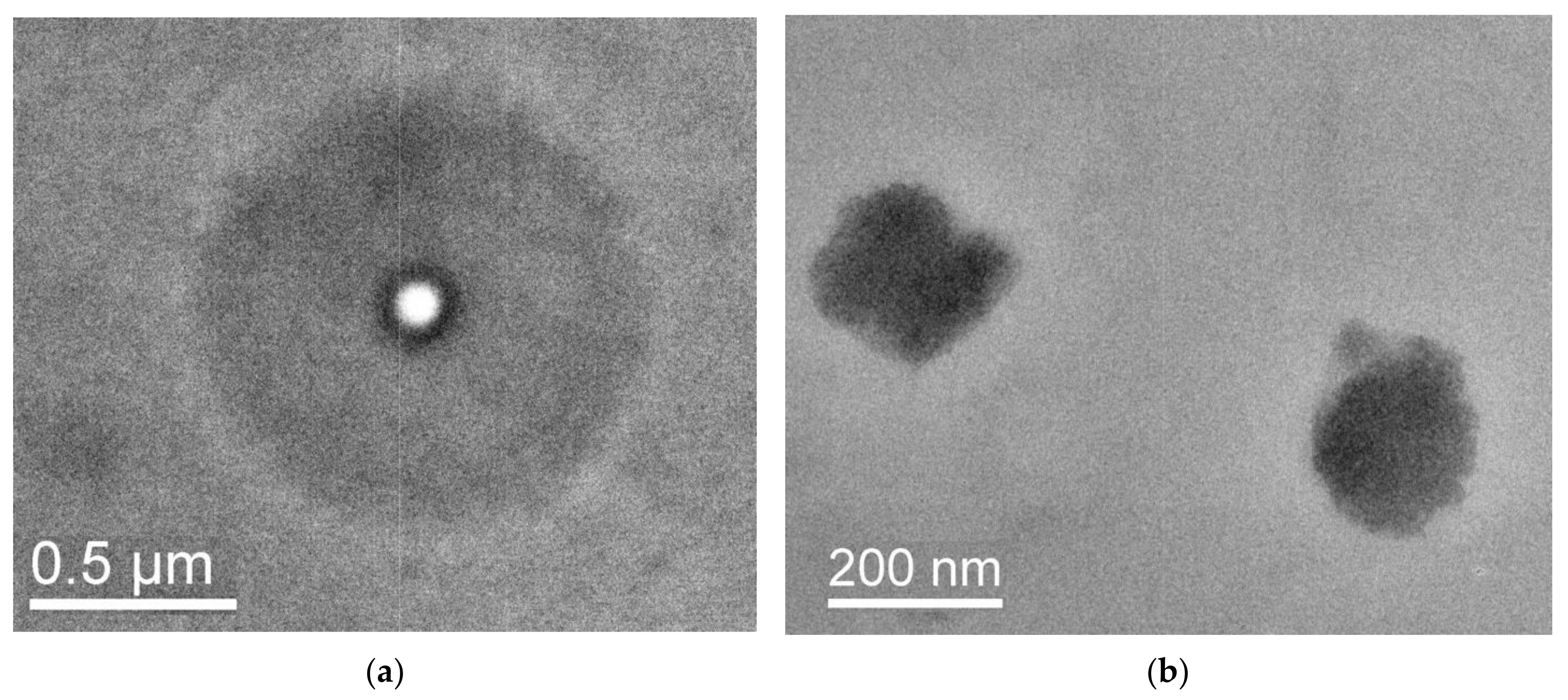 Pharmaceutics 15 01388 g010a