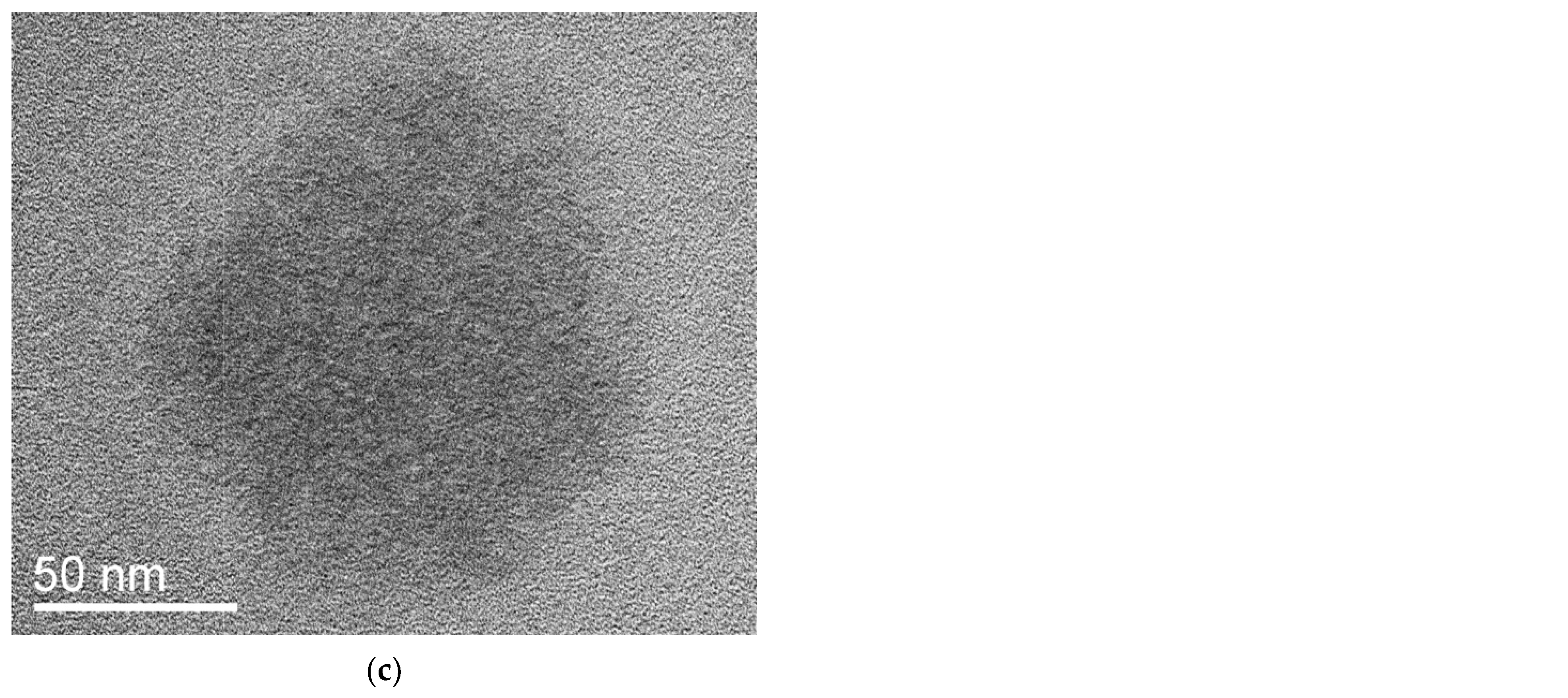 Pharmaceutics 15 01388 g010b