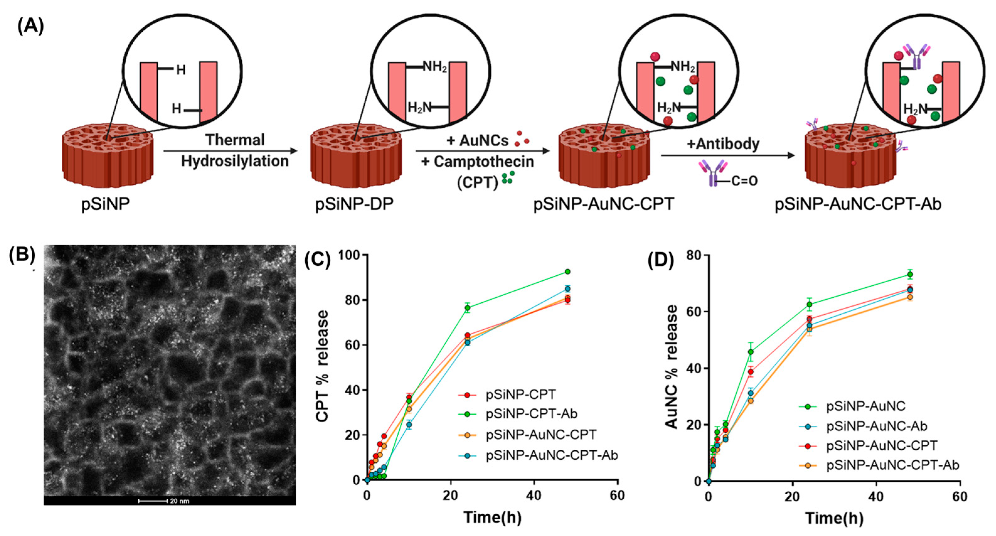 Pharmaceutics 15 01389 g002 550