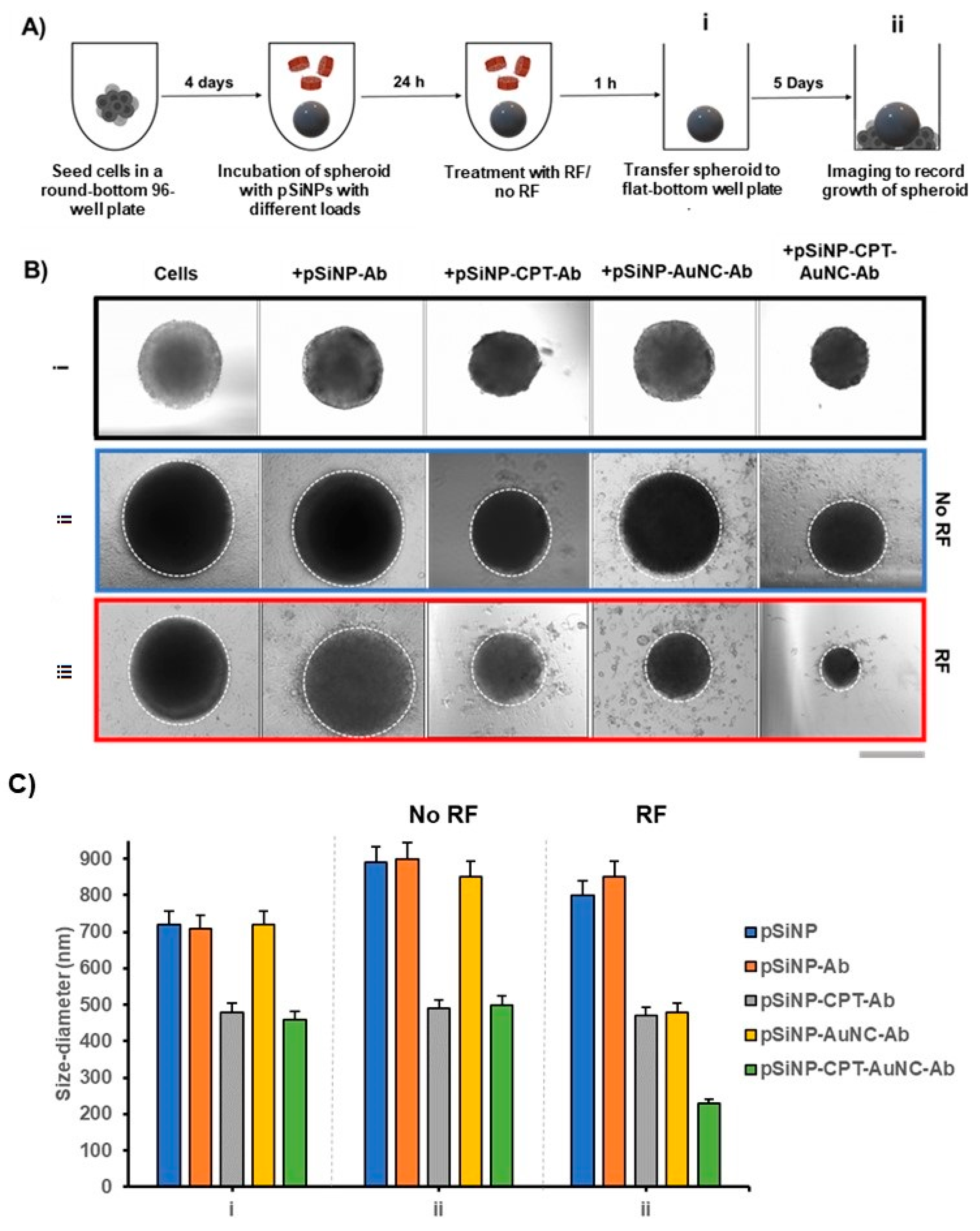 Pharmaceutics 15 01389 g007 550