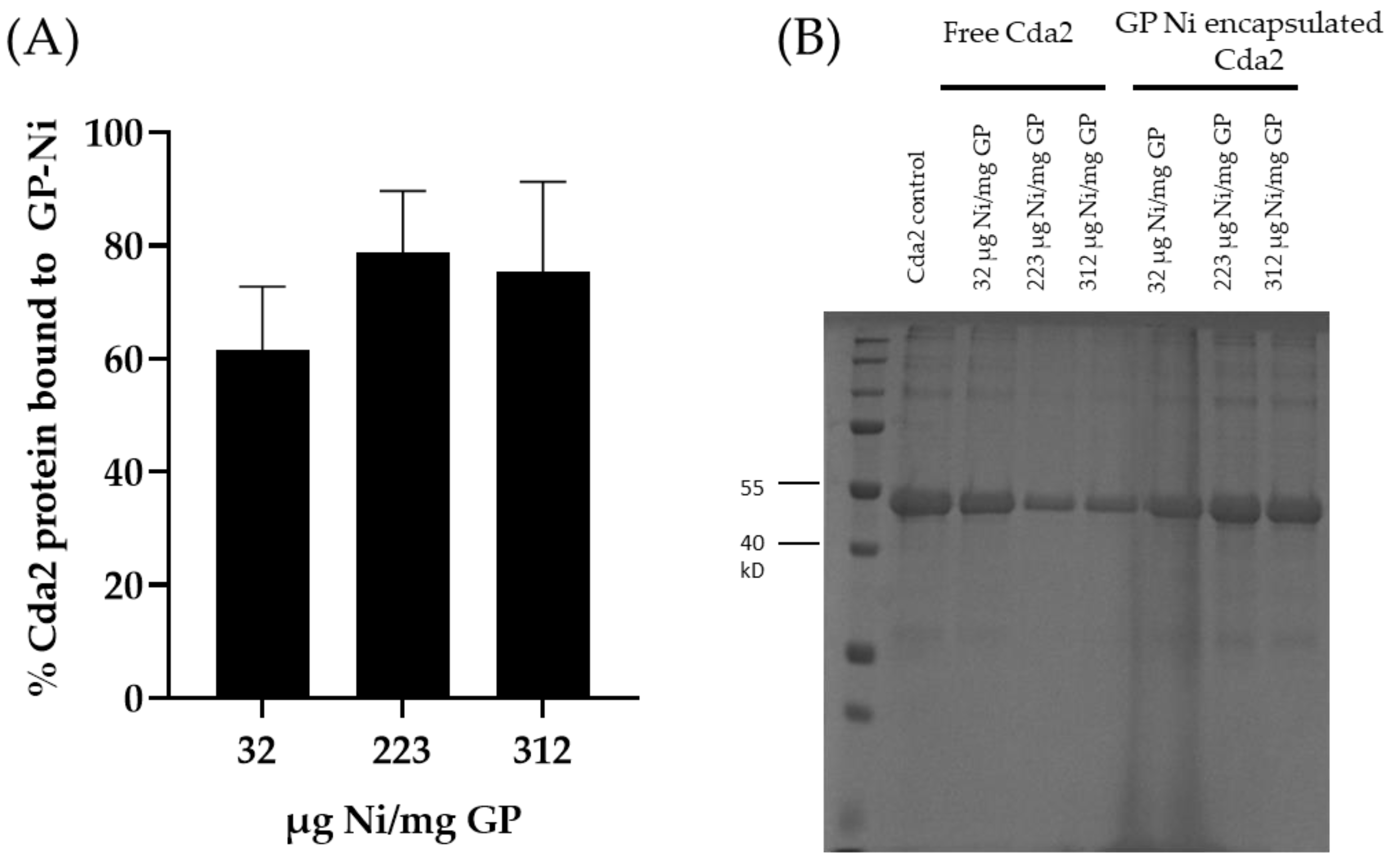 Pharmaceutics 15 01390 g003