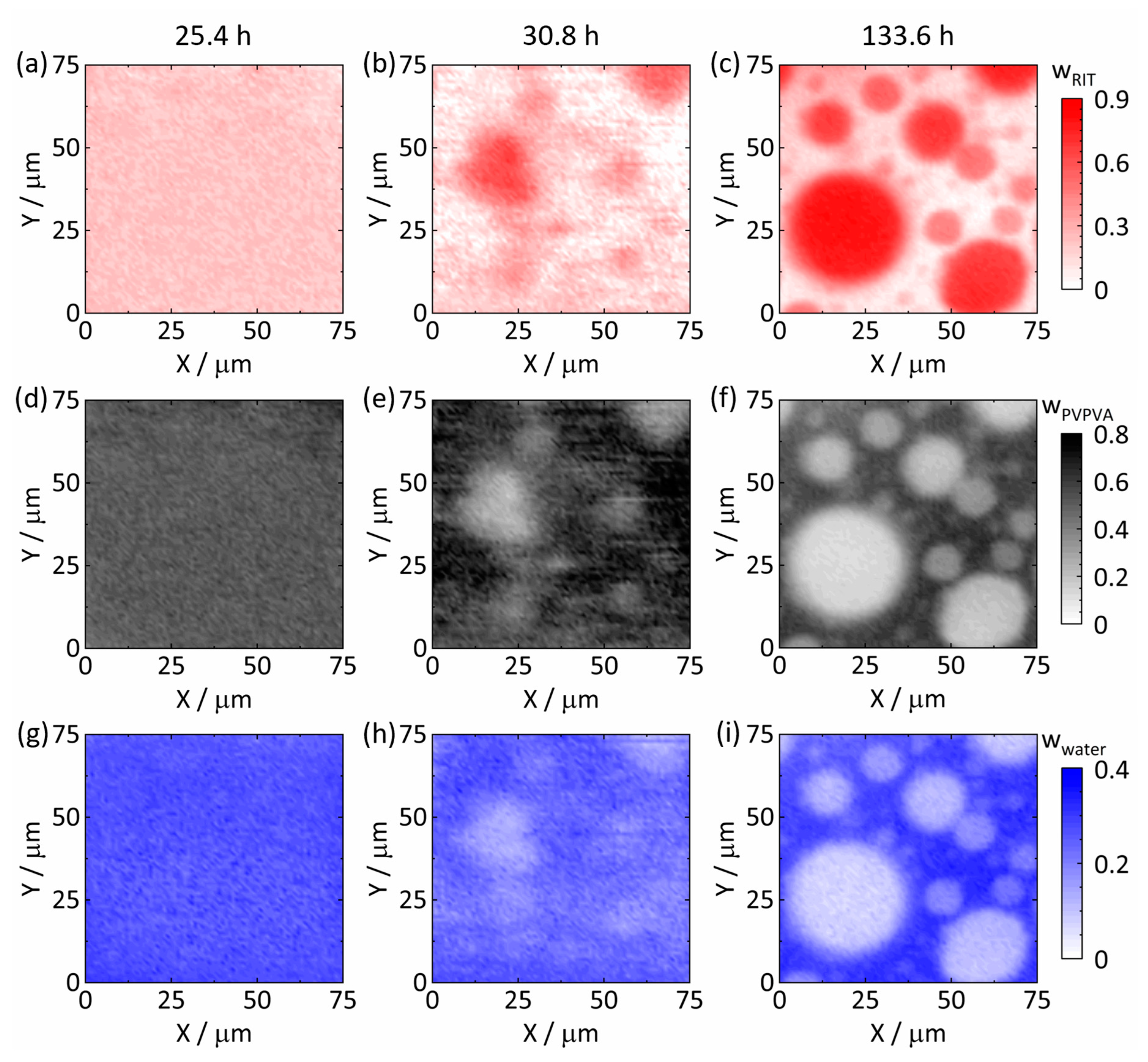 Pharmaceutics 15 01395 g005 Pharmaceutics 15 01395 g005