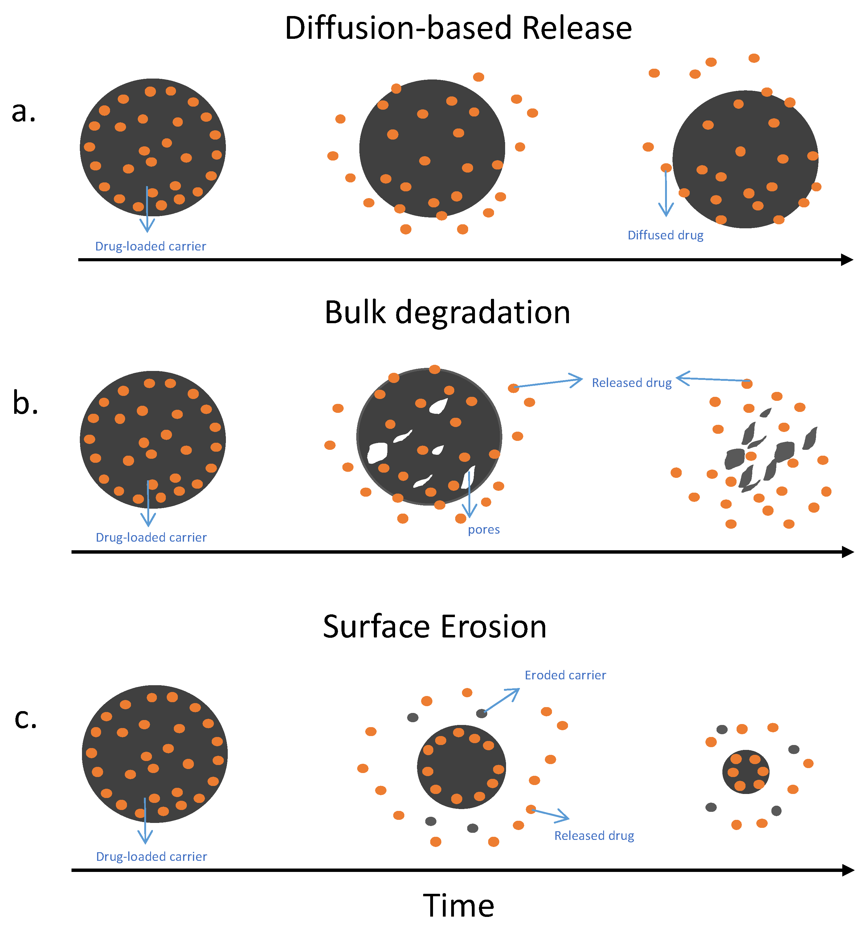 Pharmaceutics 15 01401 g002 Pharmaceutics 15 01401 g002