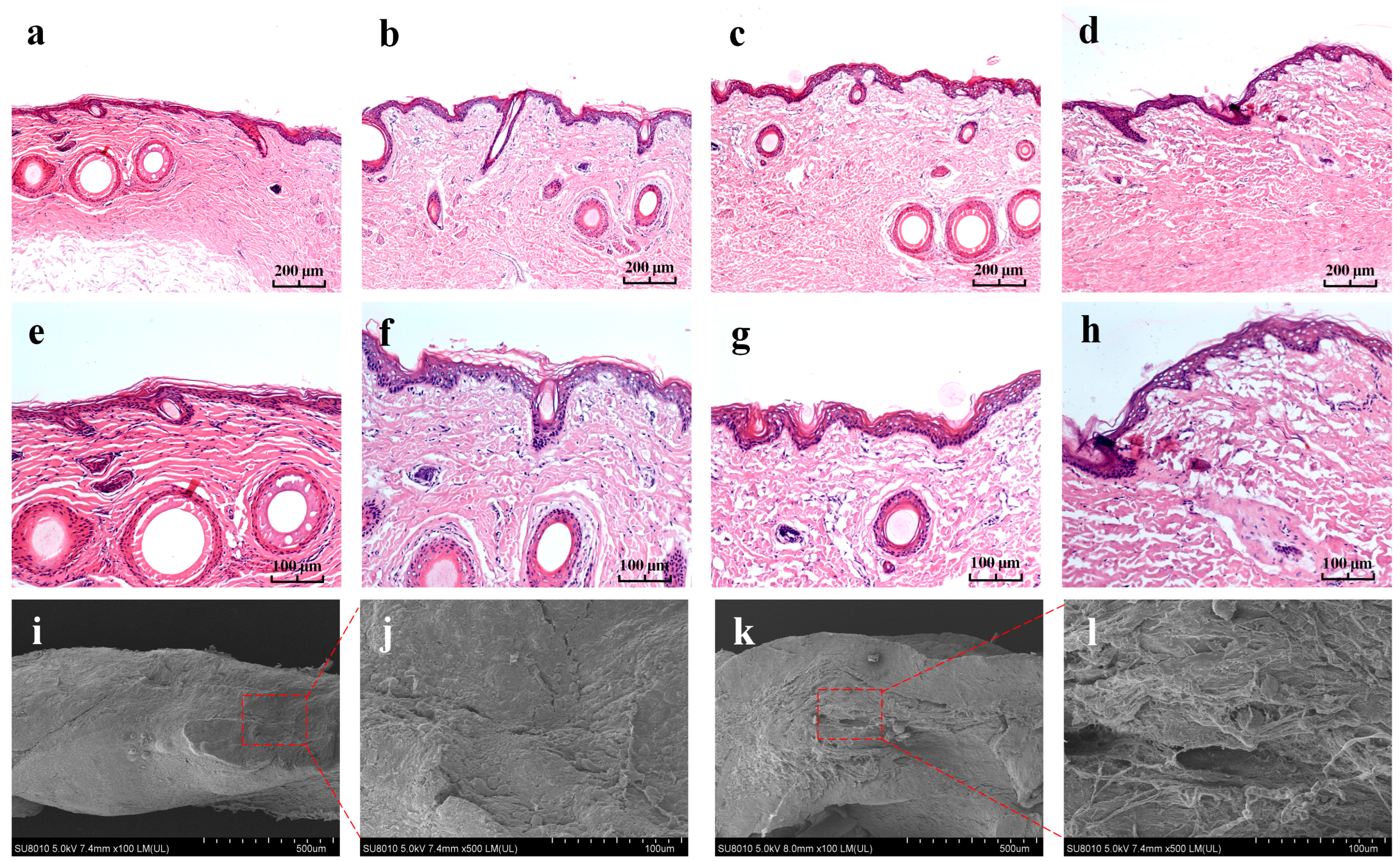 Pharmaceutics 15 01405 g004