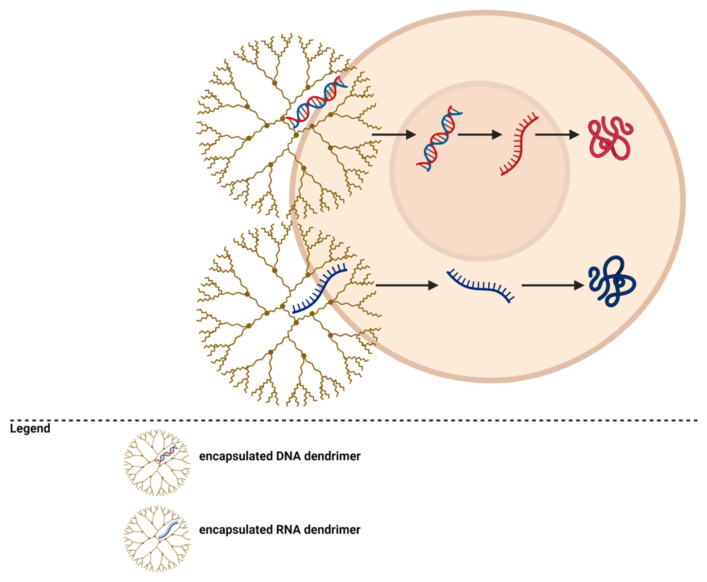 Pharmaceutics 15 01406 g004