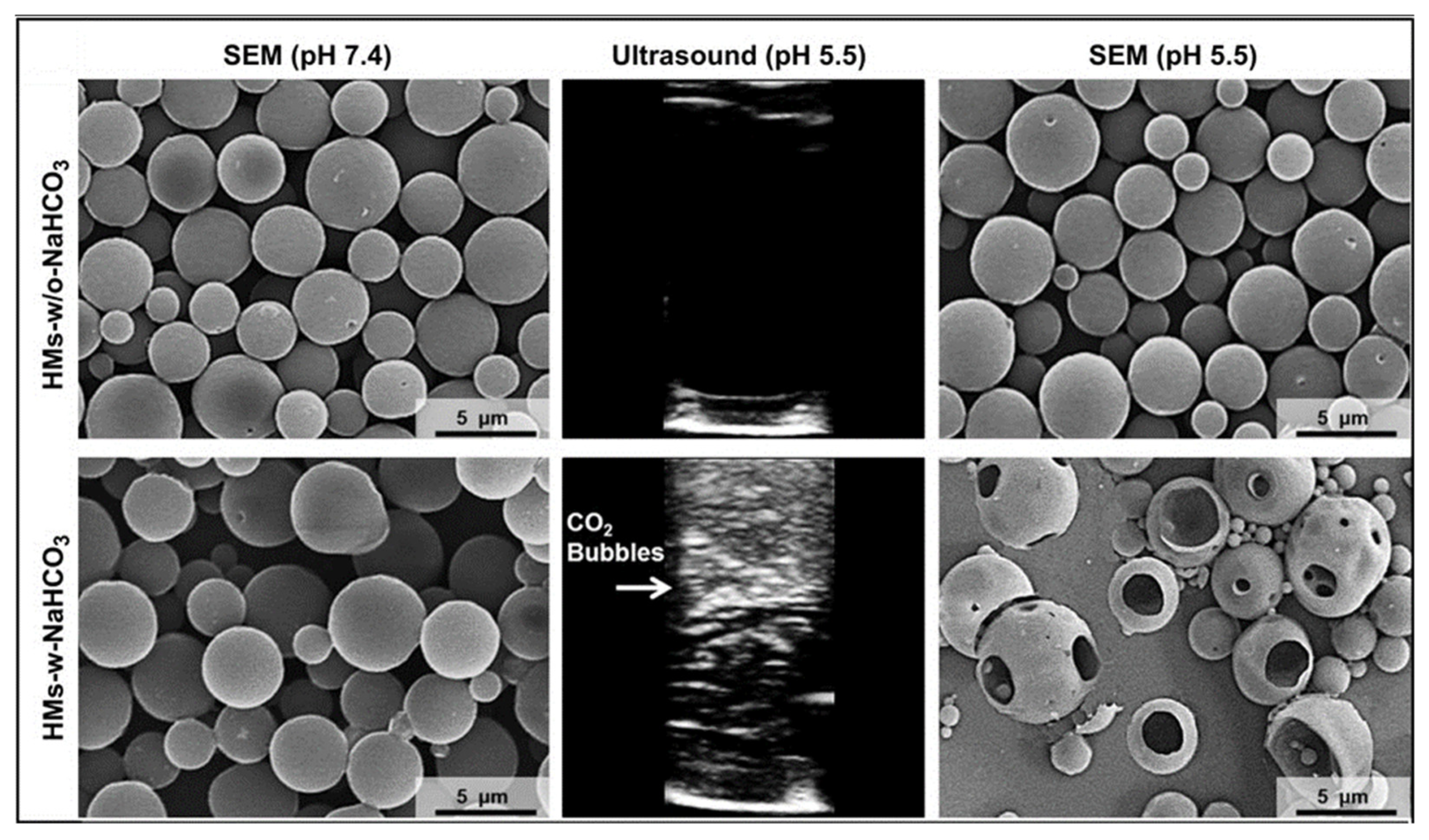 Pharmaceutics 15 01407 g001 Pharmaceutics 15 01407 g001