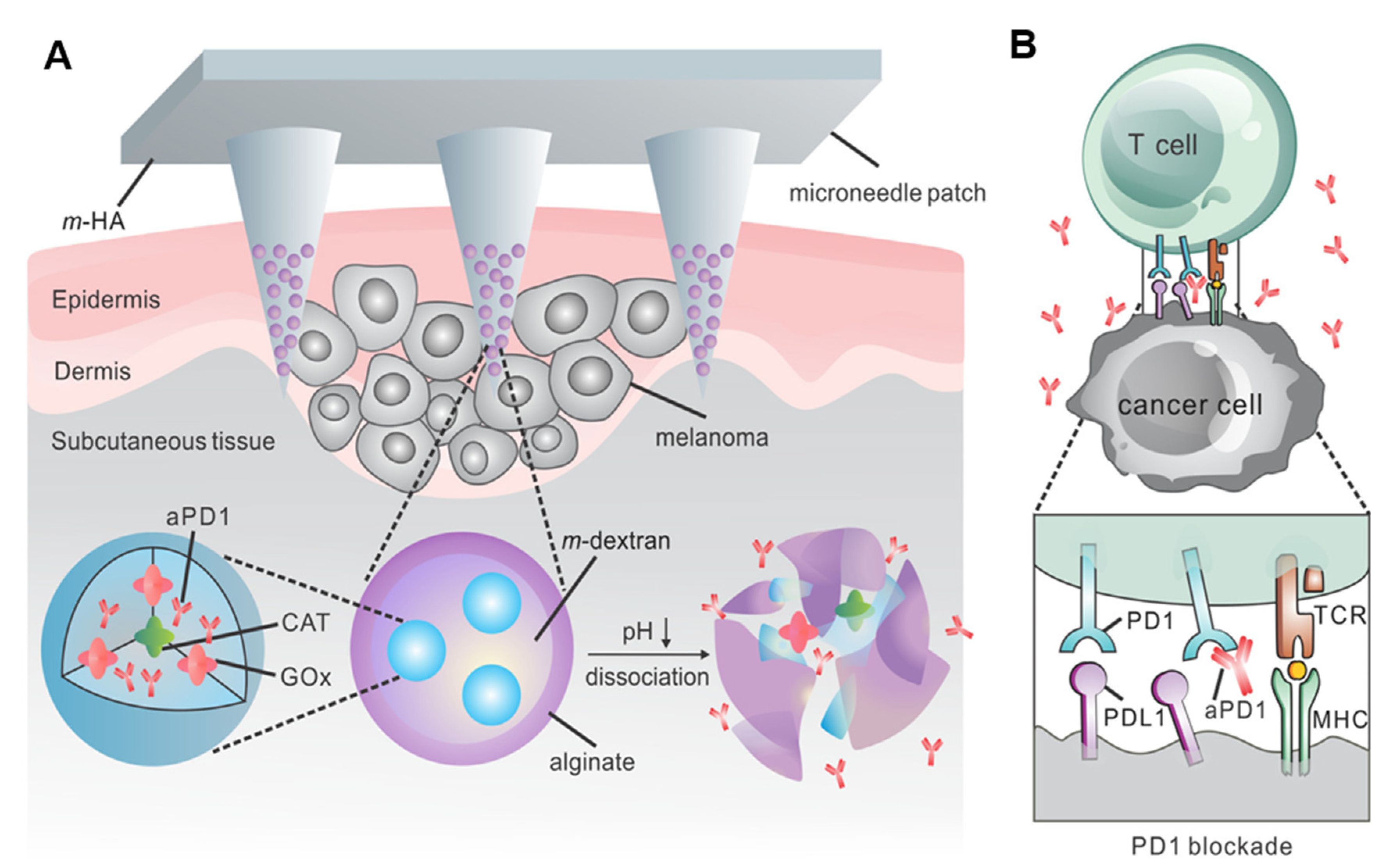 Pharmaceutics 15 01407 g002 Pharmaceutics 15 01407 g002