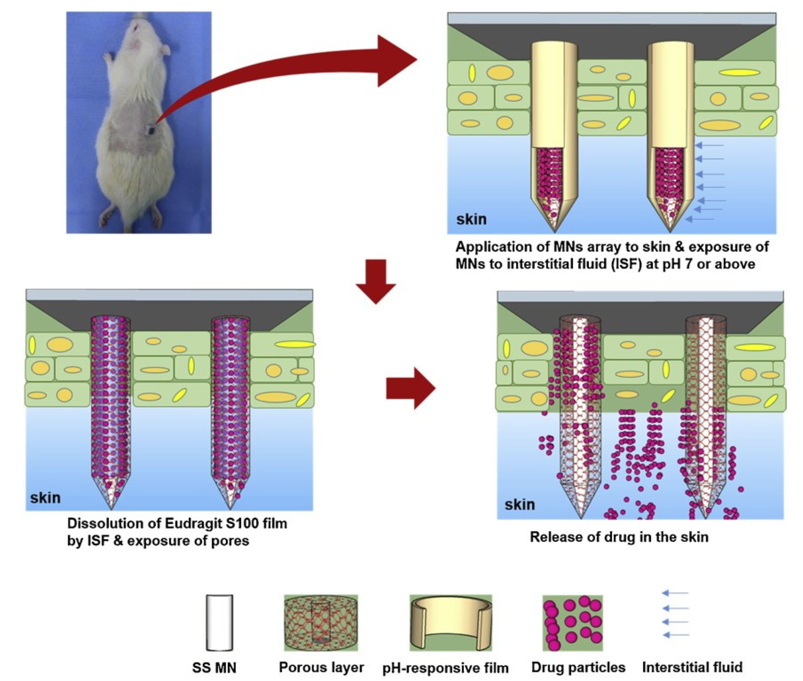 Pharmaceutics 15 01407 g004 Pharmaceutics 15 01407 g004