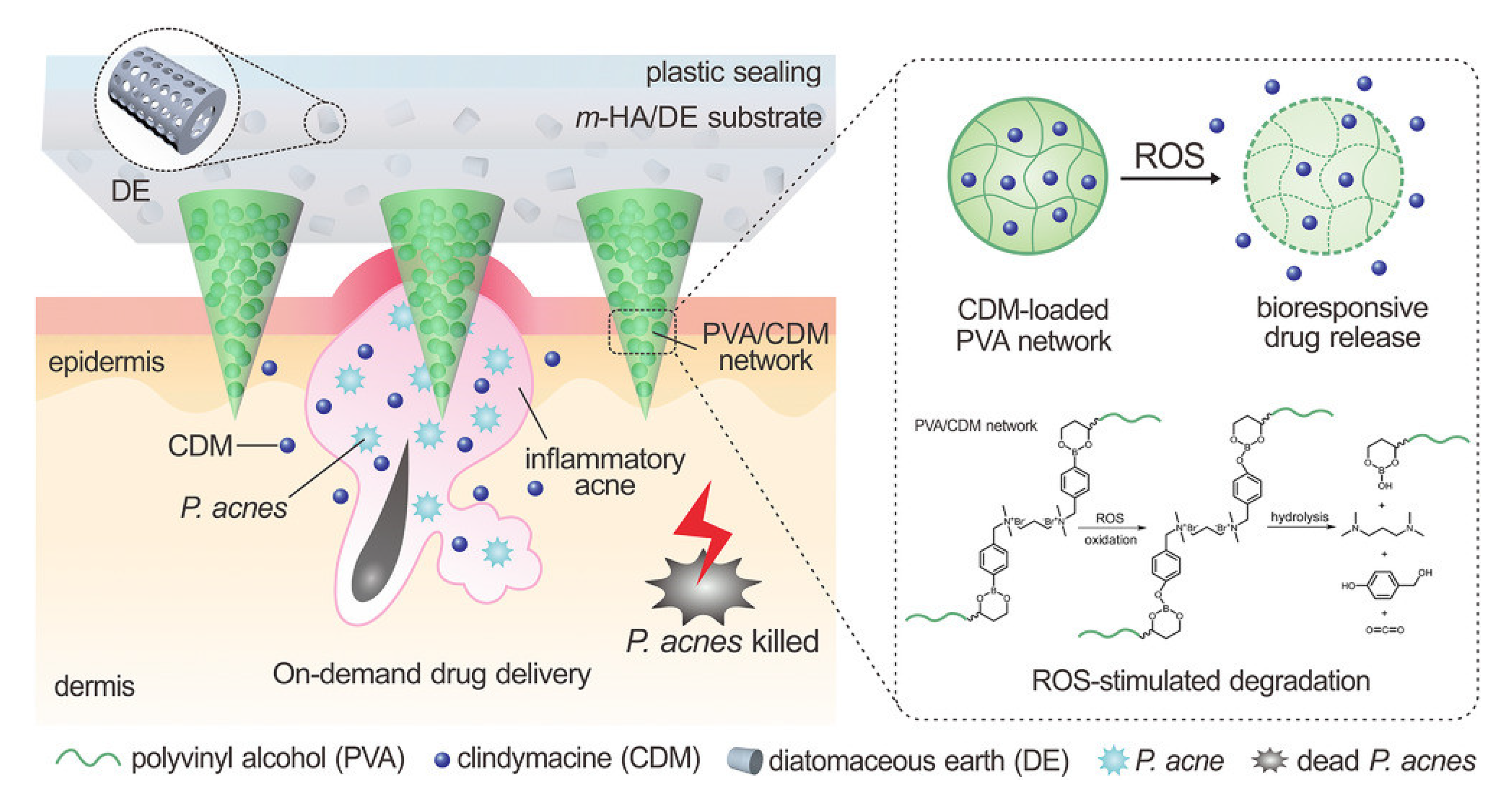 Pharmaceutics 15 01407 g005 Pharmaceutics 15 01407 g005