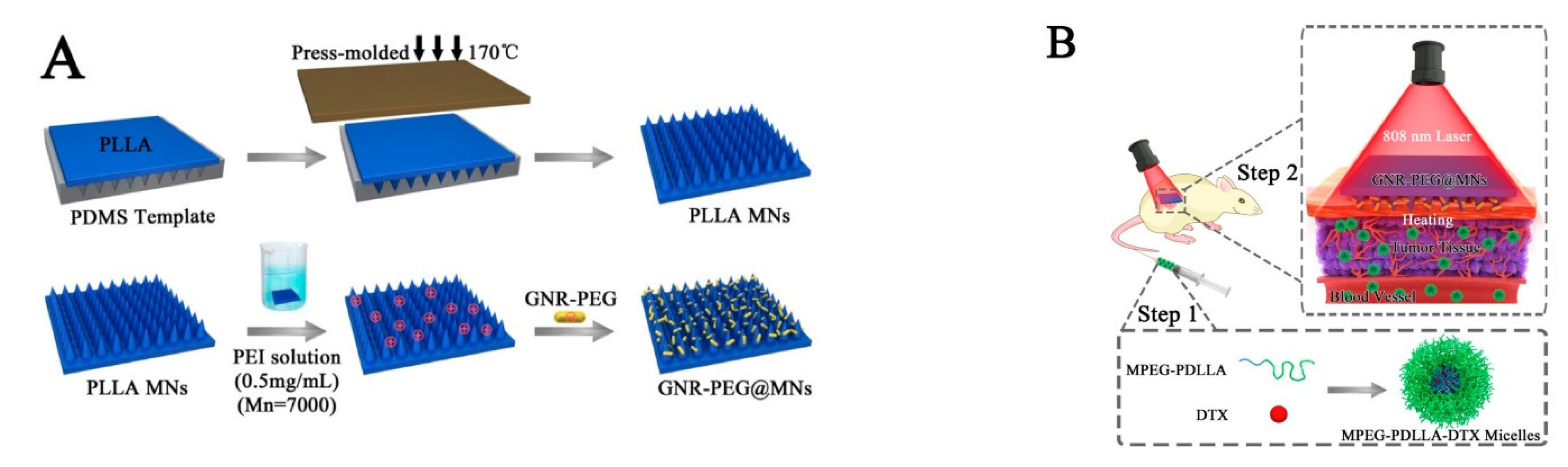 Pharmaceutics 15 01407 g008 Pharmaceutics 15 01407 g008