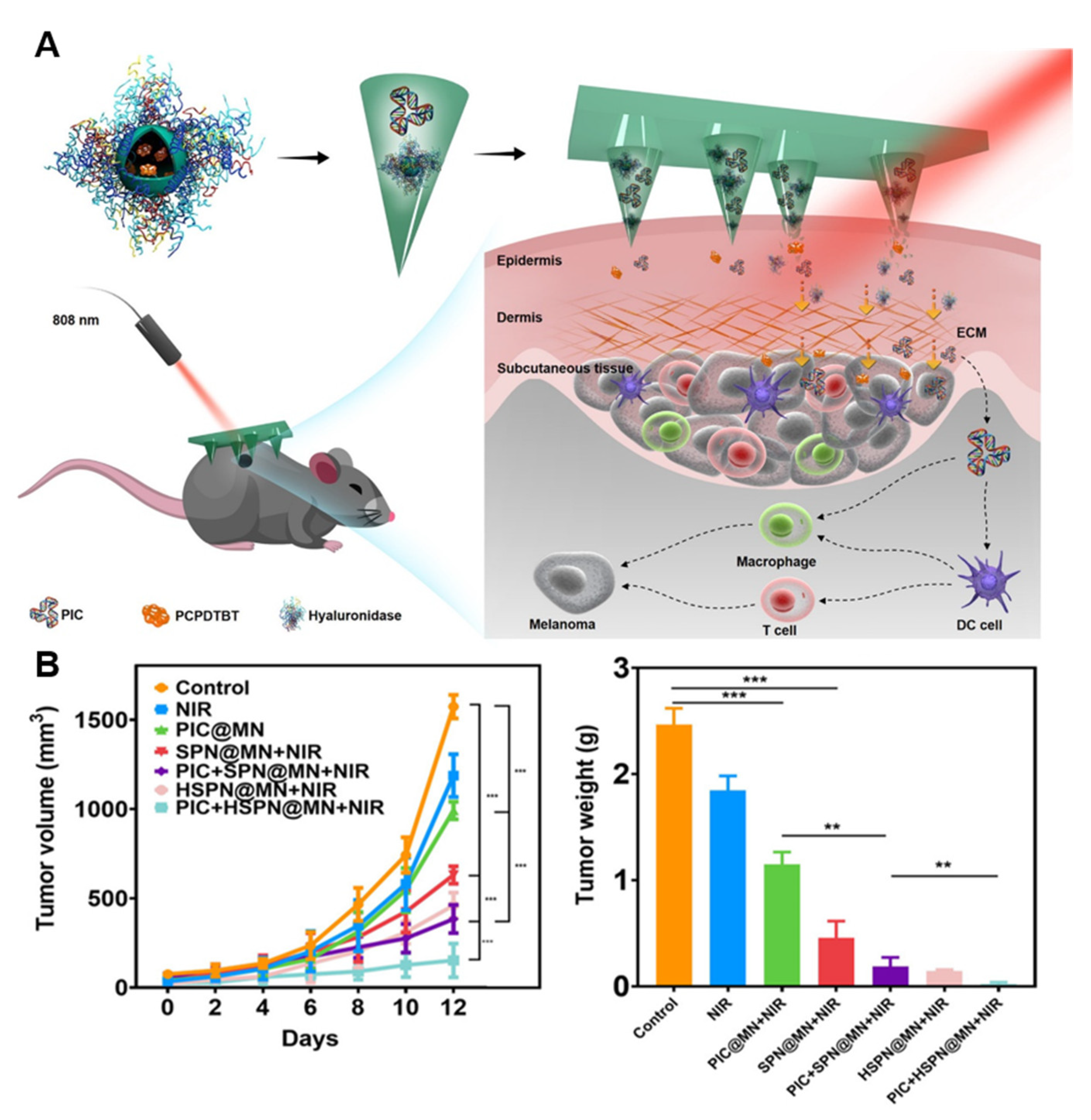 Pharmaceutics 15 01407 g011 Pharmaceutics 15 01407 g011