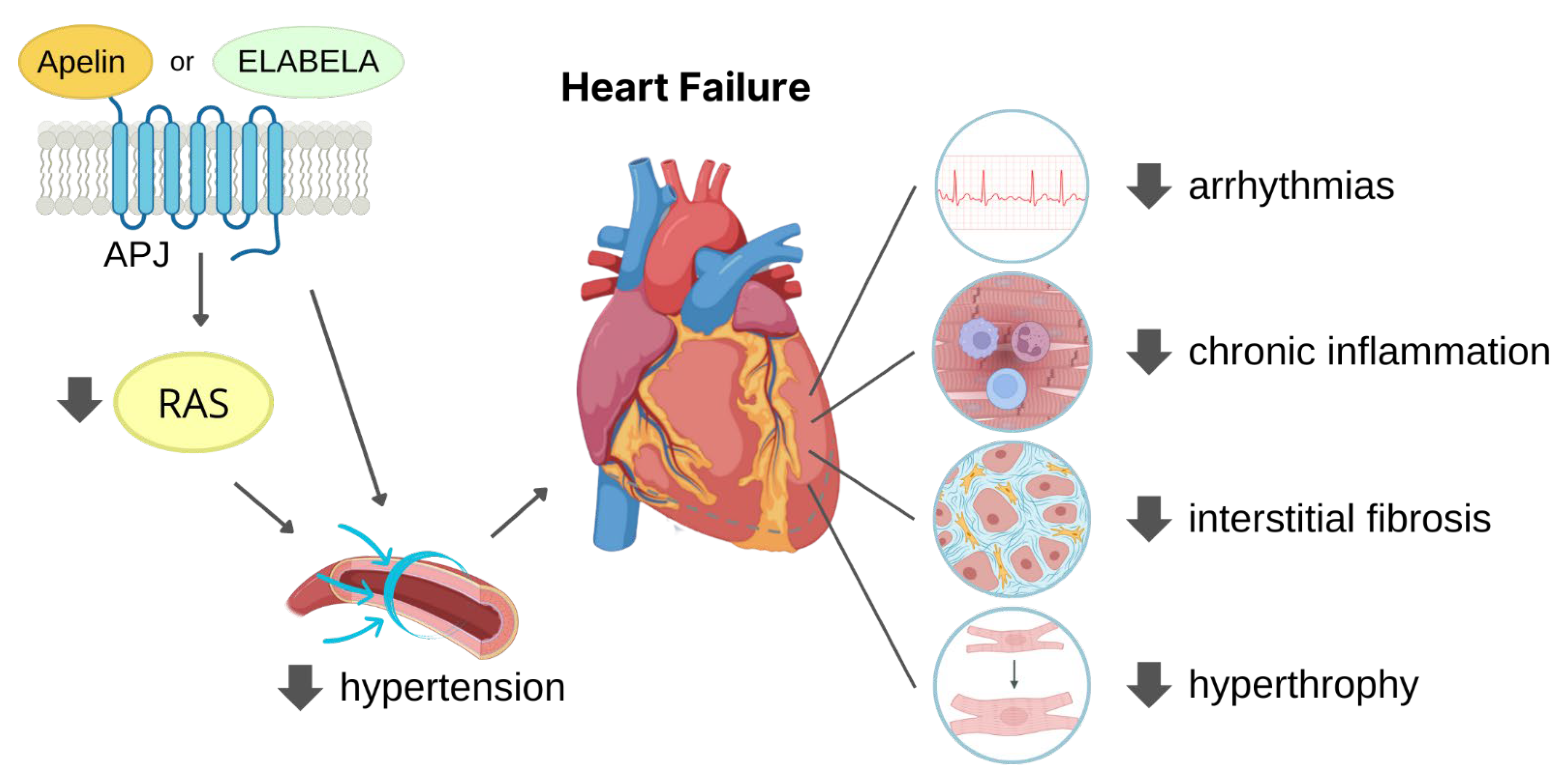 Pharmaceutics 15 01408 g003 Pharmaceutics 15 01408 g003