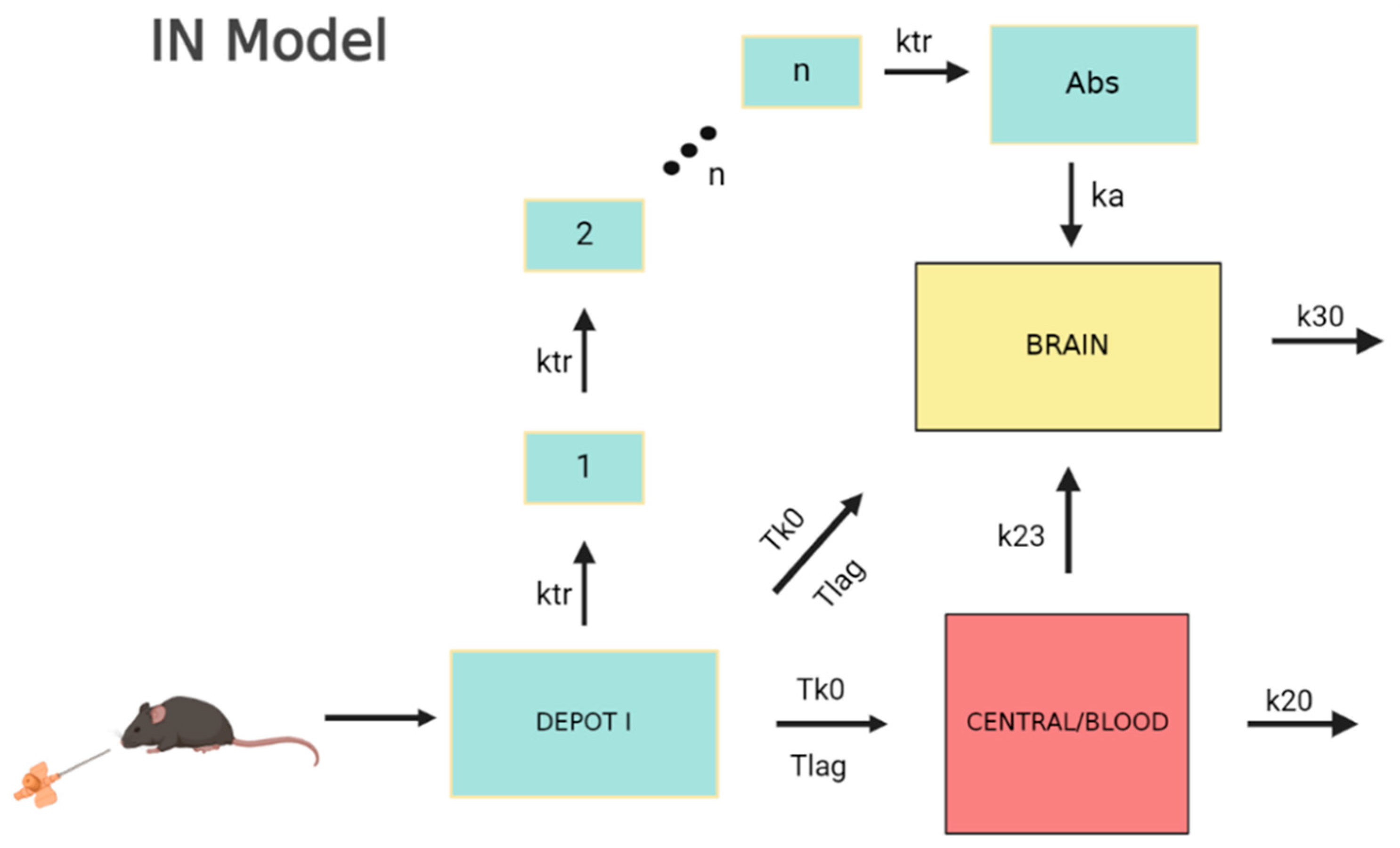 Pharmaceutics 15 01409 g004 Pharmaceutics 15 01409 g004