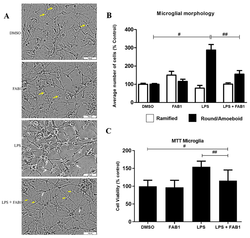 Pharmaceutics 15 01410 g001