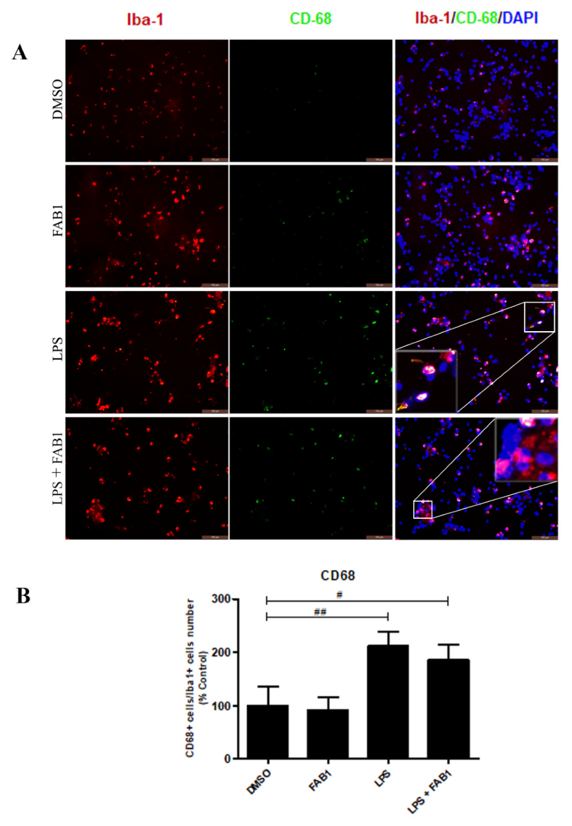 Pharmaceutics 15 01410 g003