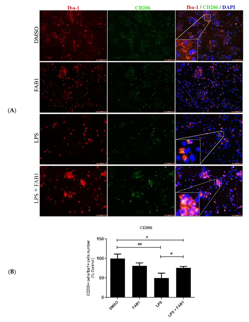 Pharmaceutics 15 01410 g004