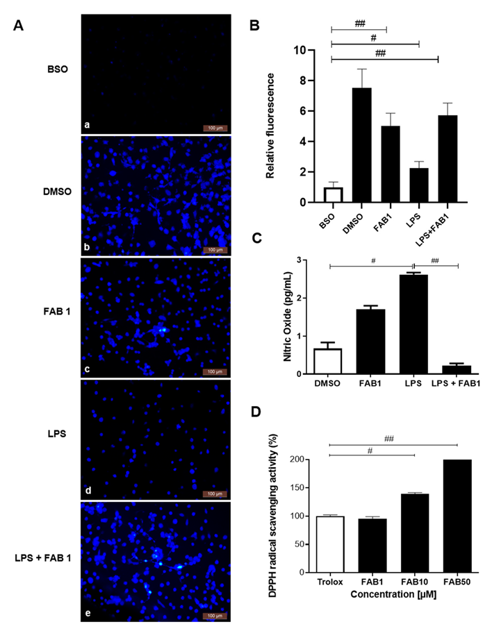 Pharmaceutics 15 01410 g005