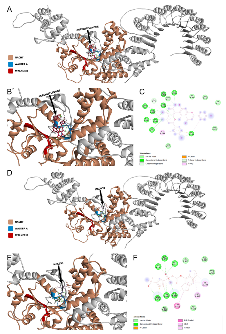 Pharmaceutics 15 01410 g008
