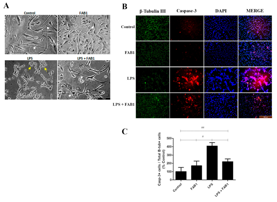 Pharmaceutics 15 01410 g009
