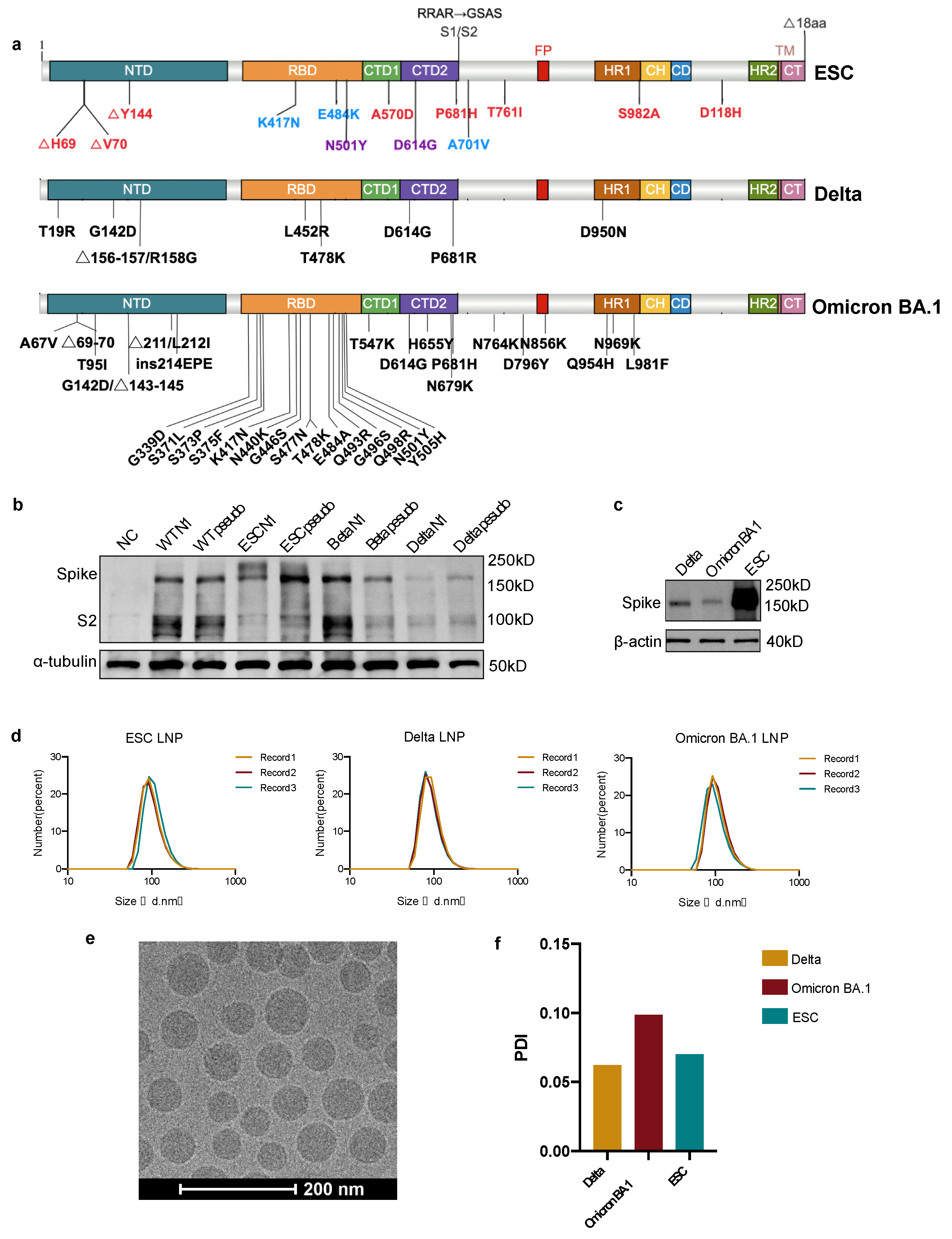 Pharmaceutics 15 01412 g001