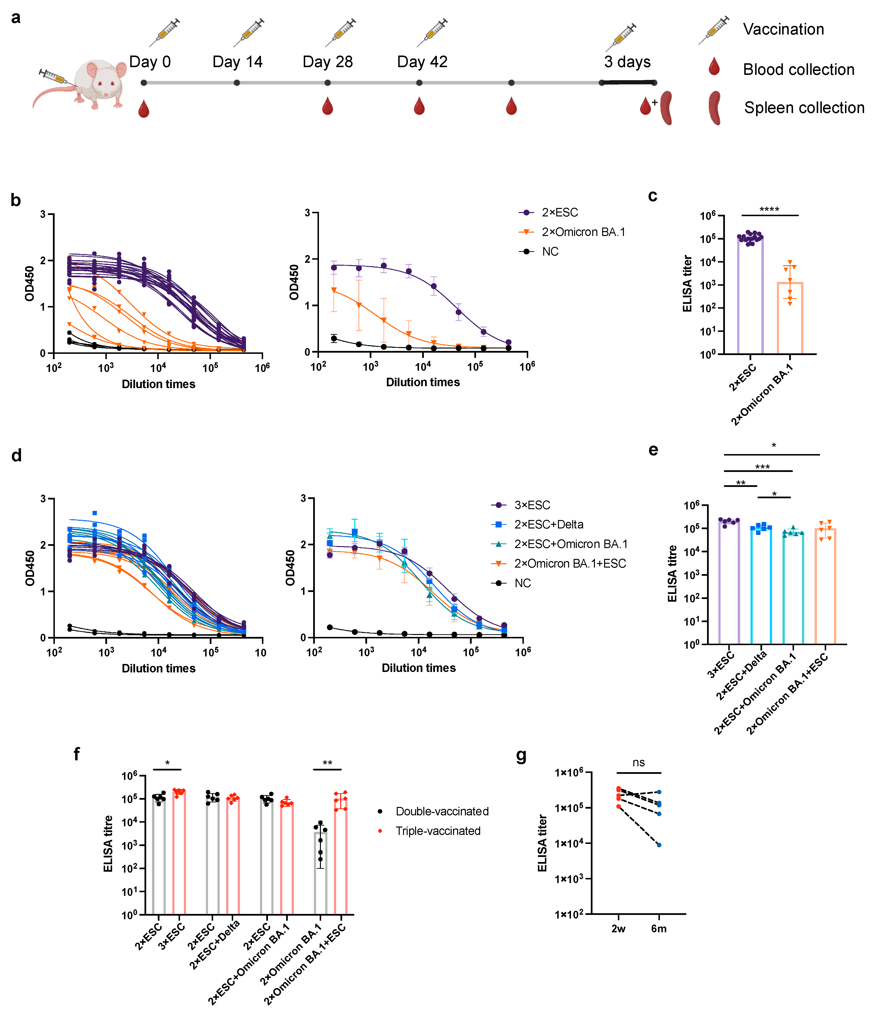 Pharmaceutics 15 01412 g002