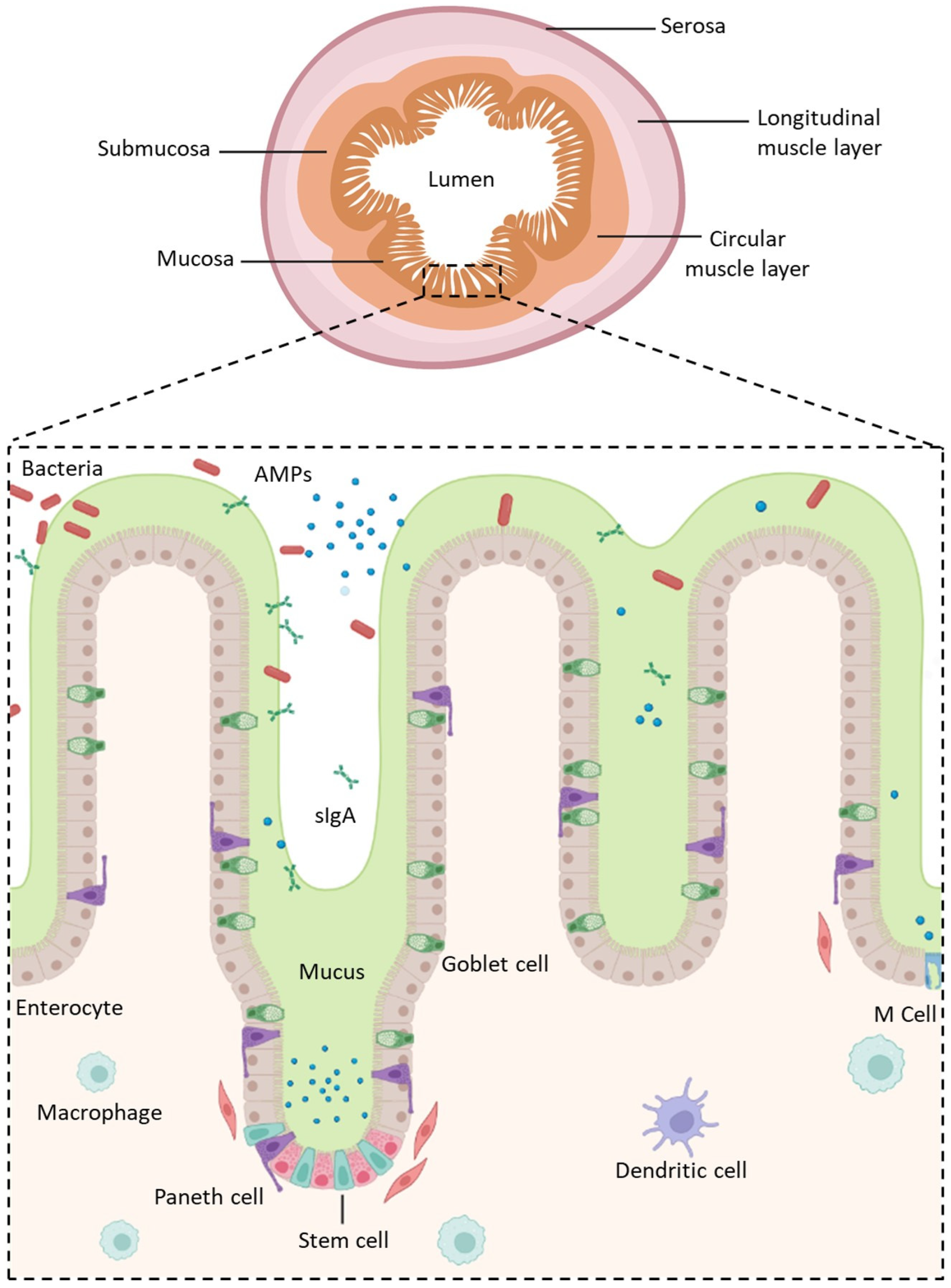 Pharmaceutics 15 01415 g001