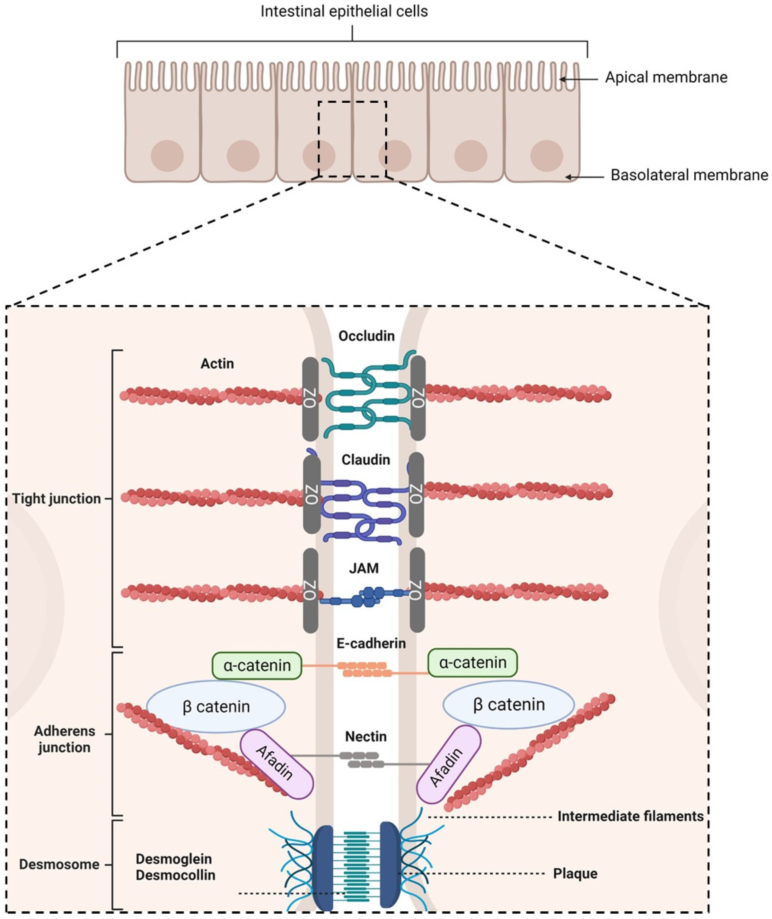 Pharmaceutics 15 01415 g002