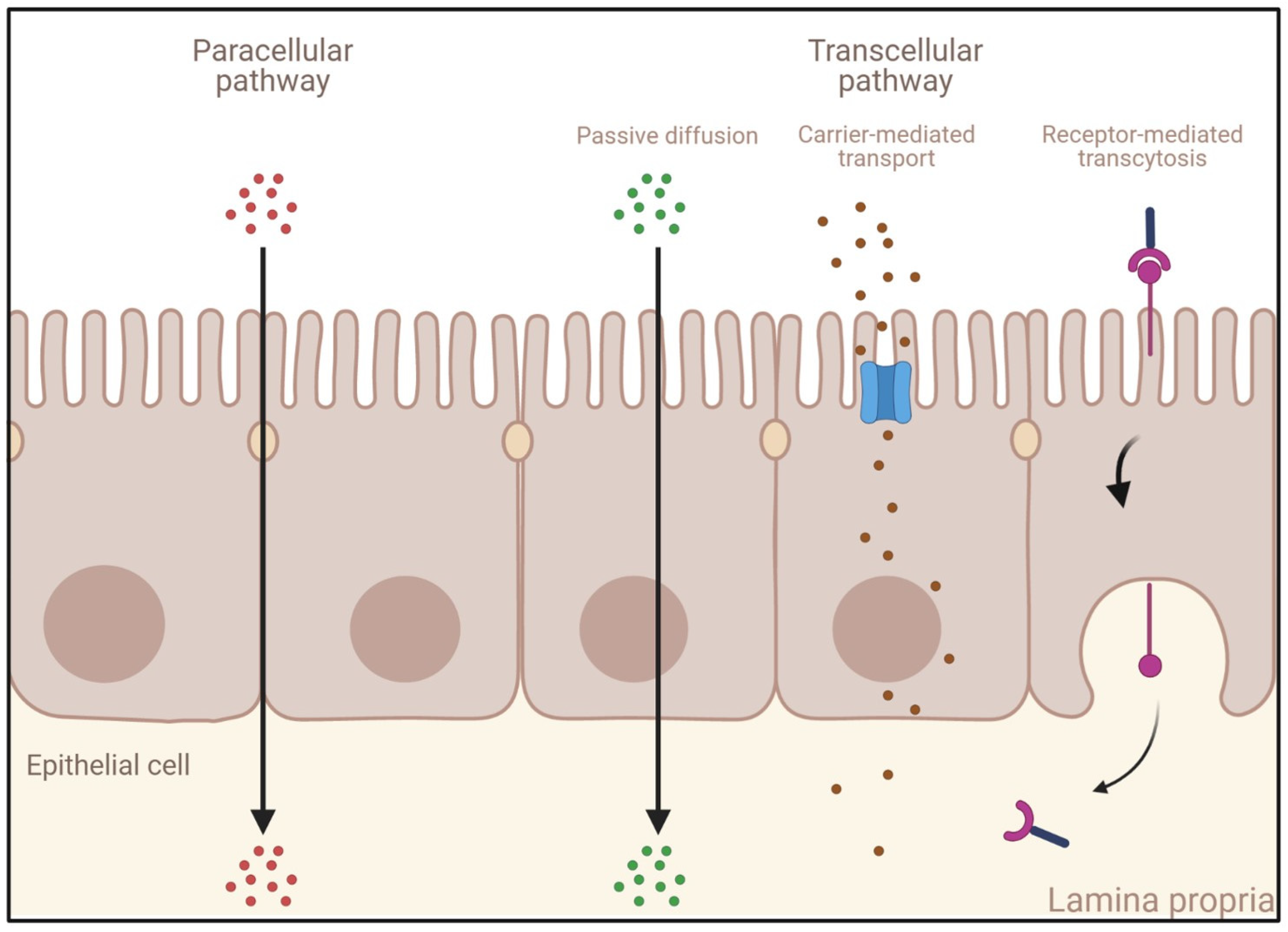 Pharmaceutics 15 01415 g003