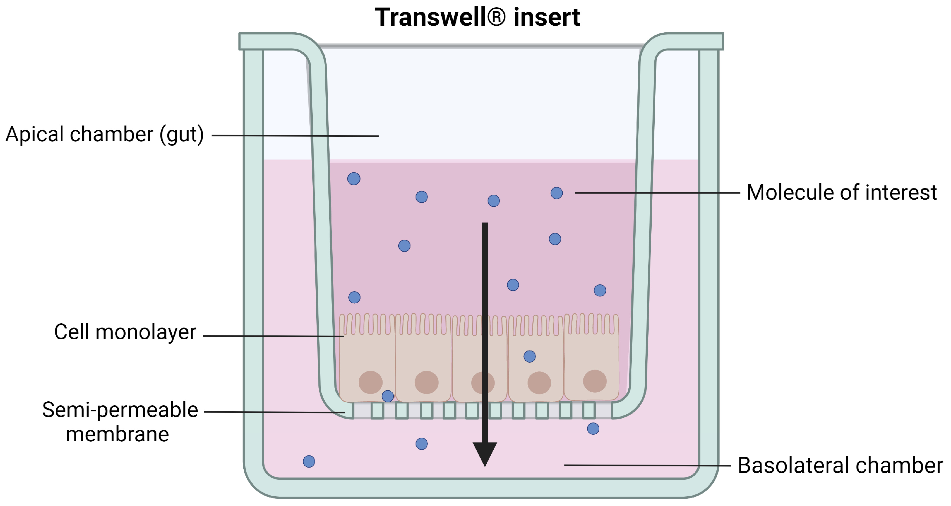 Pharmaceutics 15 01415 g004