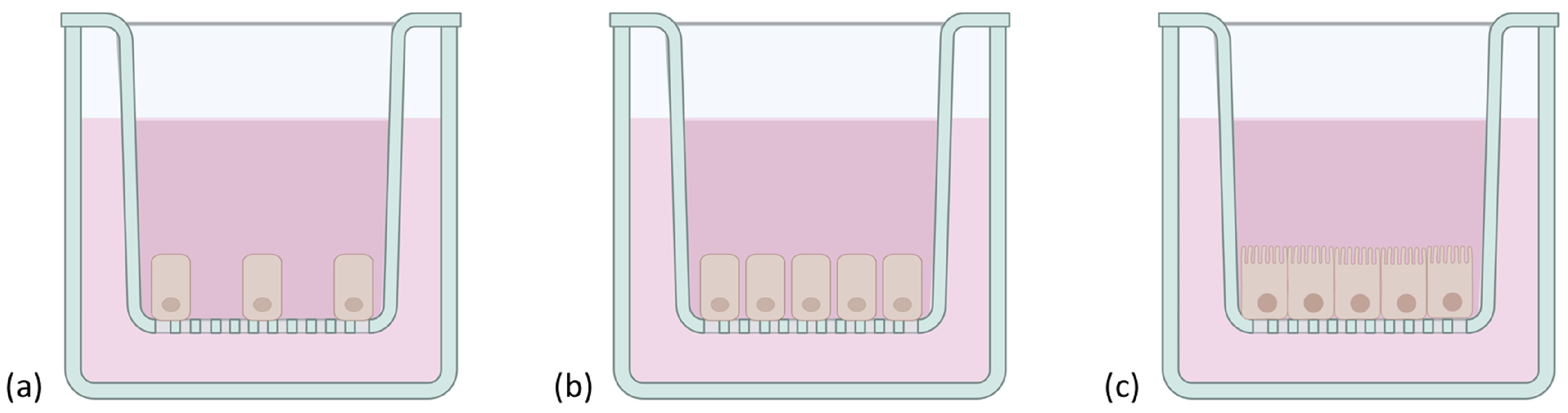 Pharmaceutics 15 01415 g005