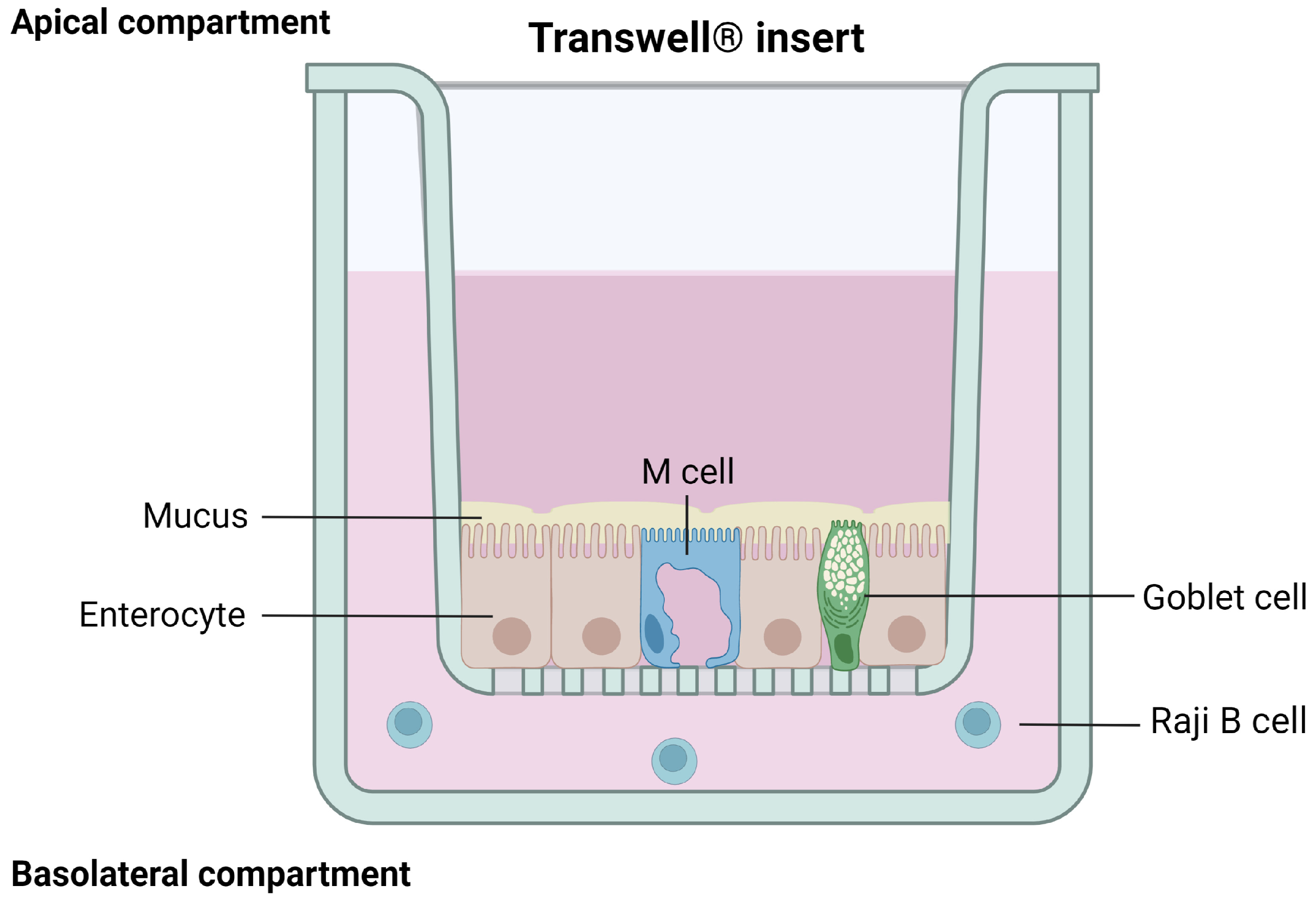 Pharmaceutics 15 01415 g006