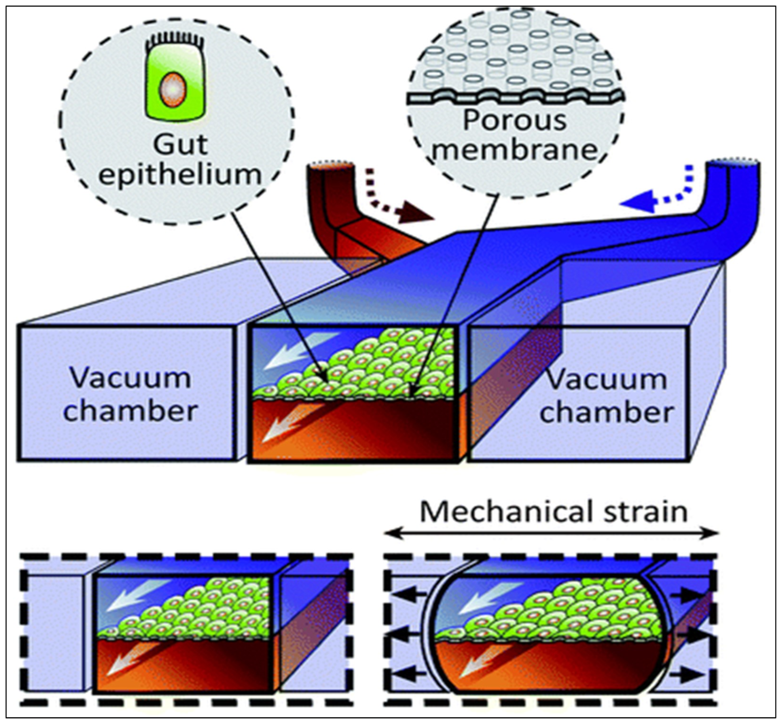 Pharmaceutics 15 01415 g007