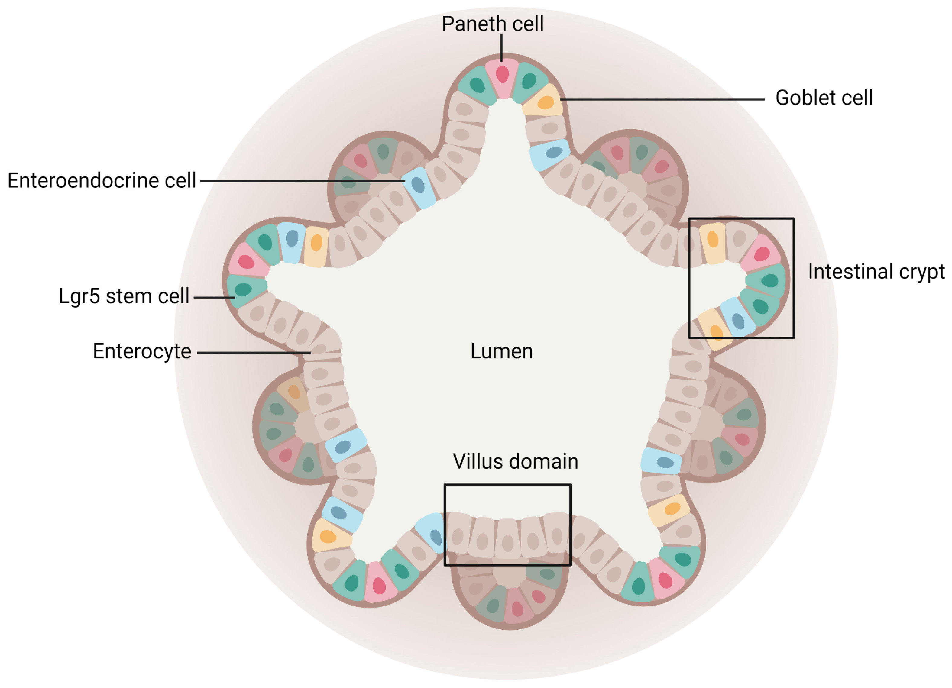 Pharmaceutics 15 01415 g008