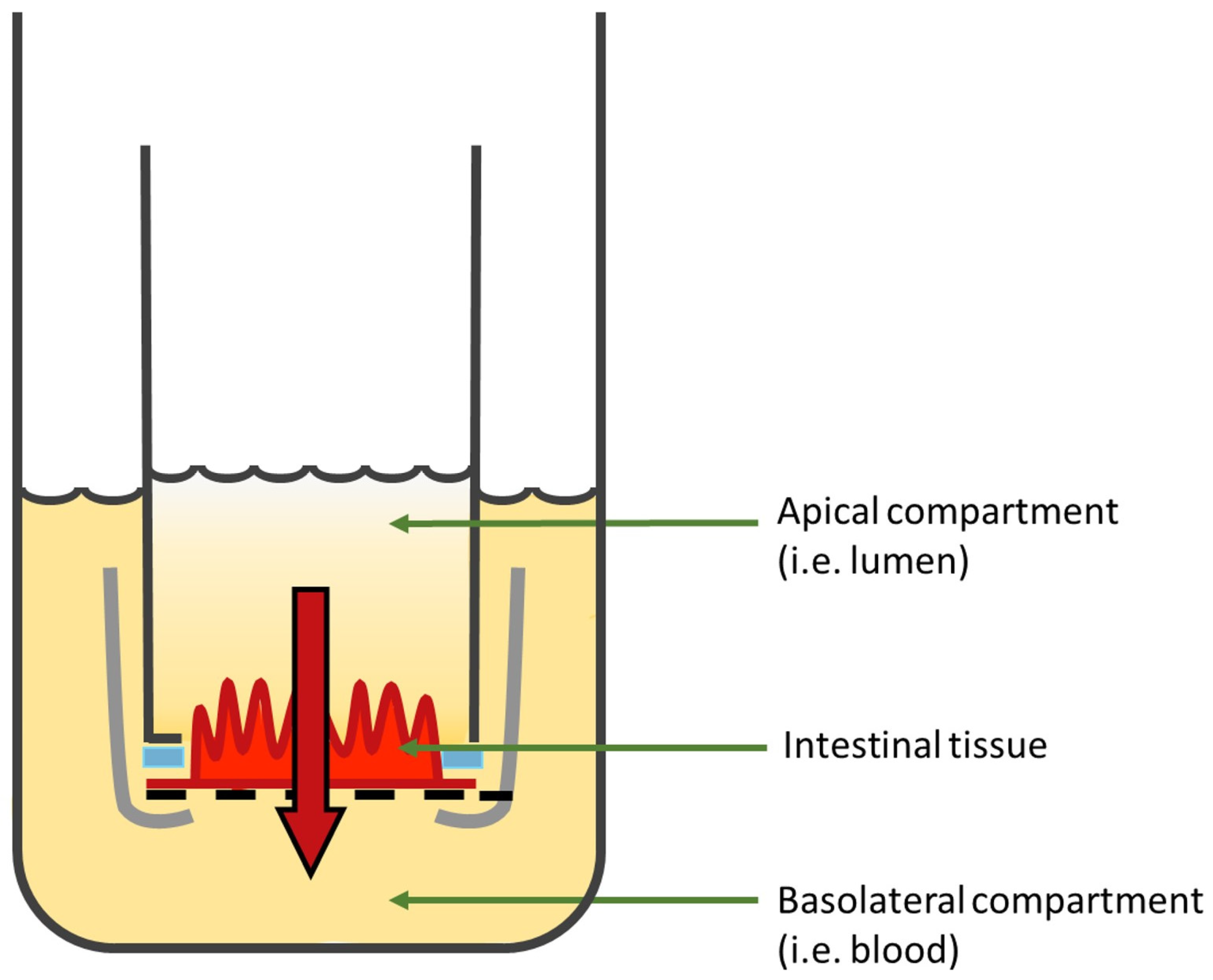 Pharmaceutics 15 01415 g011