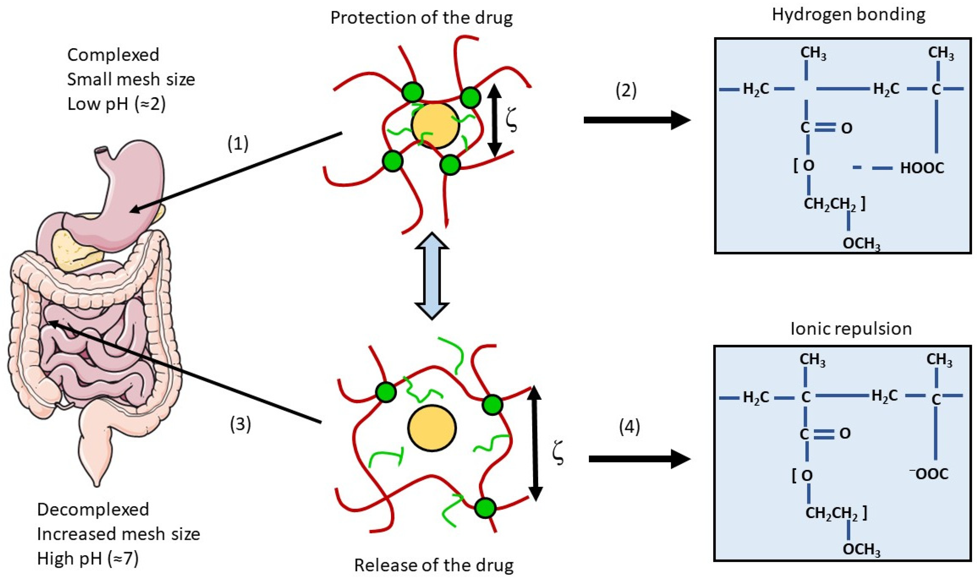 Pharmaceutics 15 01415 g012