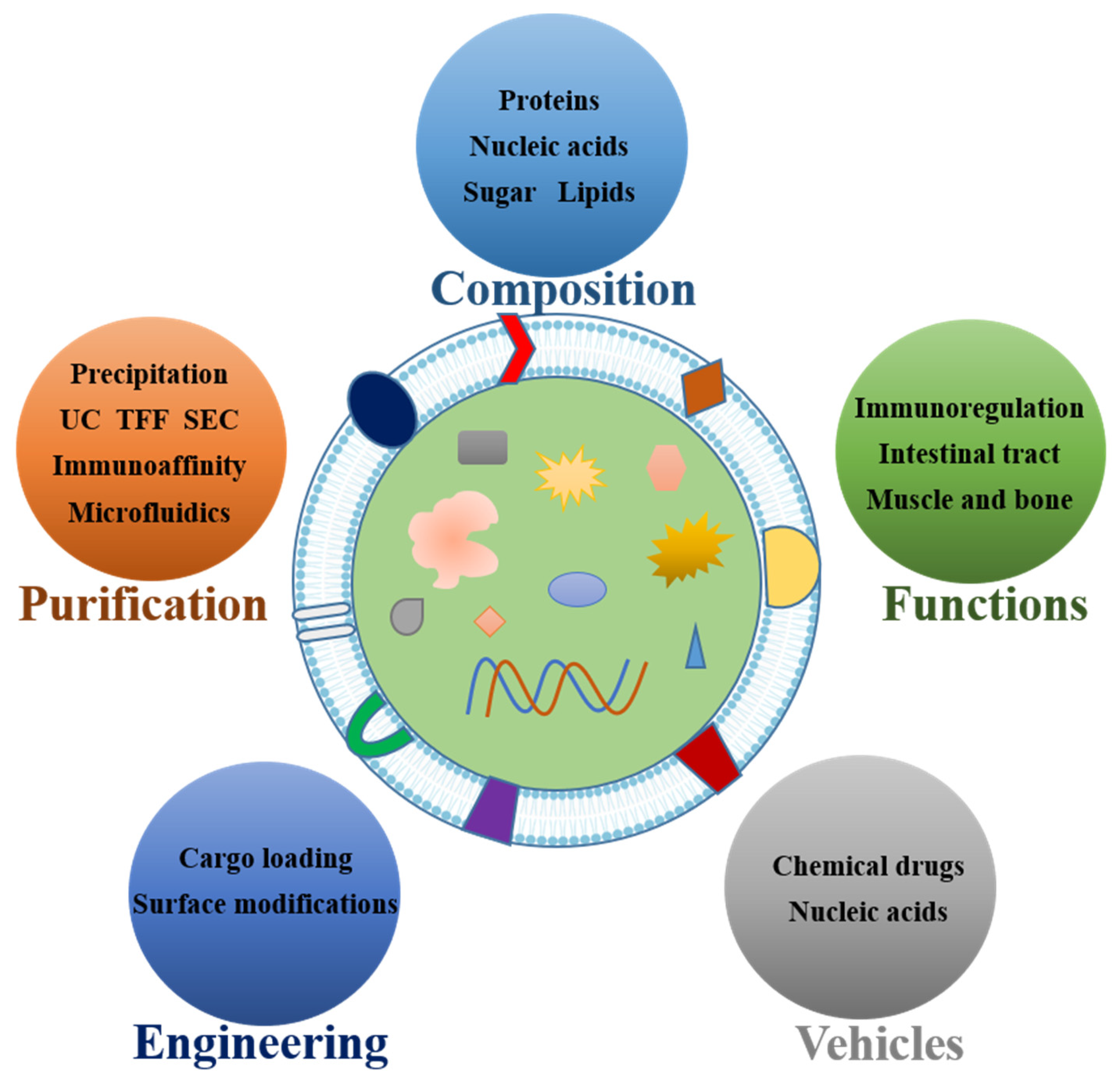 Pharmaceutics 15 01418 g001 Pharmaceutics 15 01418 g001