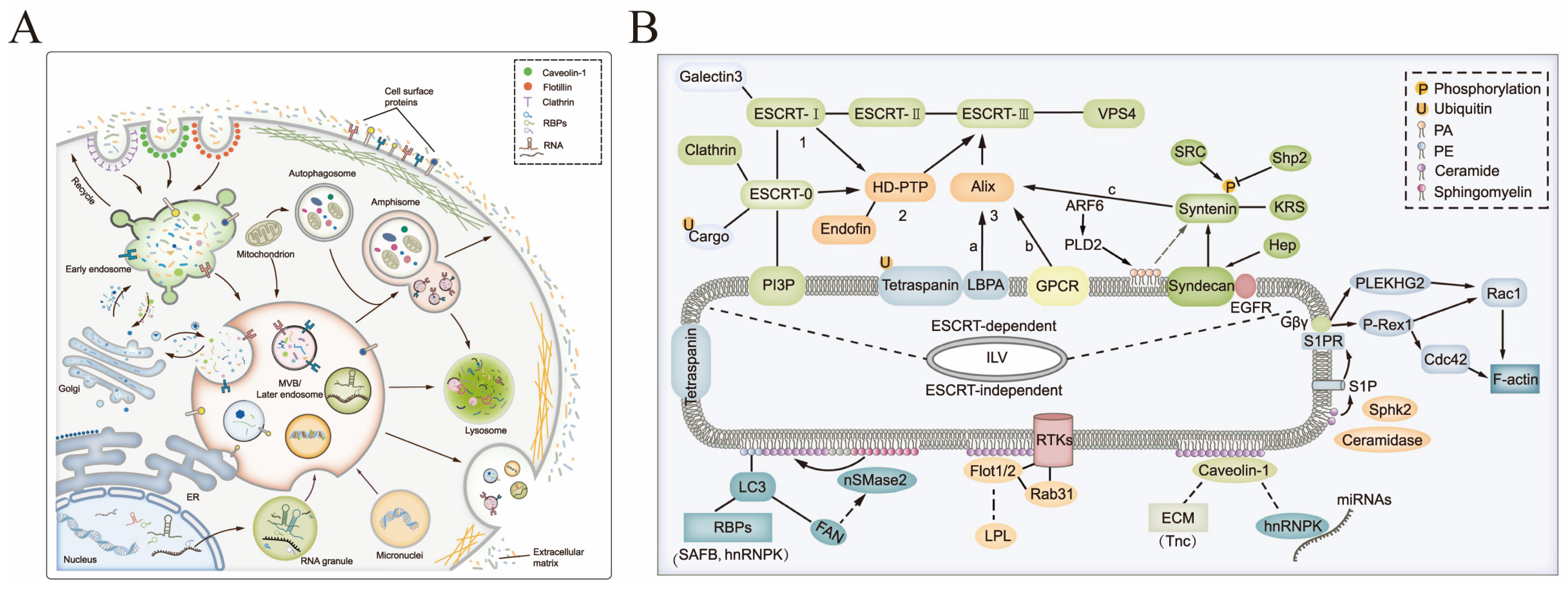 Pharmaceutics 15 01418 g002 Pharmaceutics 15 01418 g002