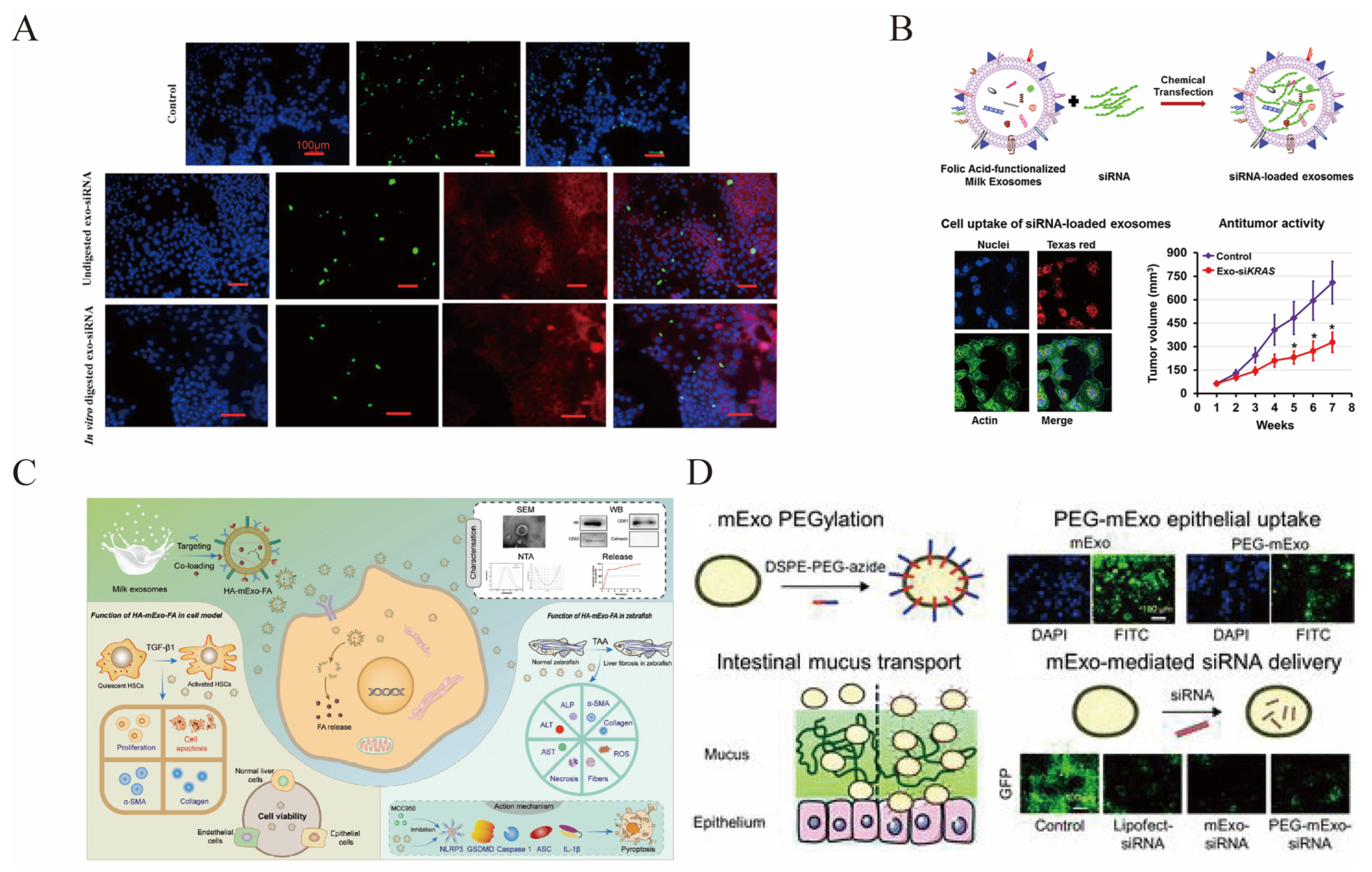 Pharmaceutics 15 01418 g006 Pharmaceutics 15 01418 g006