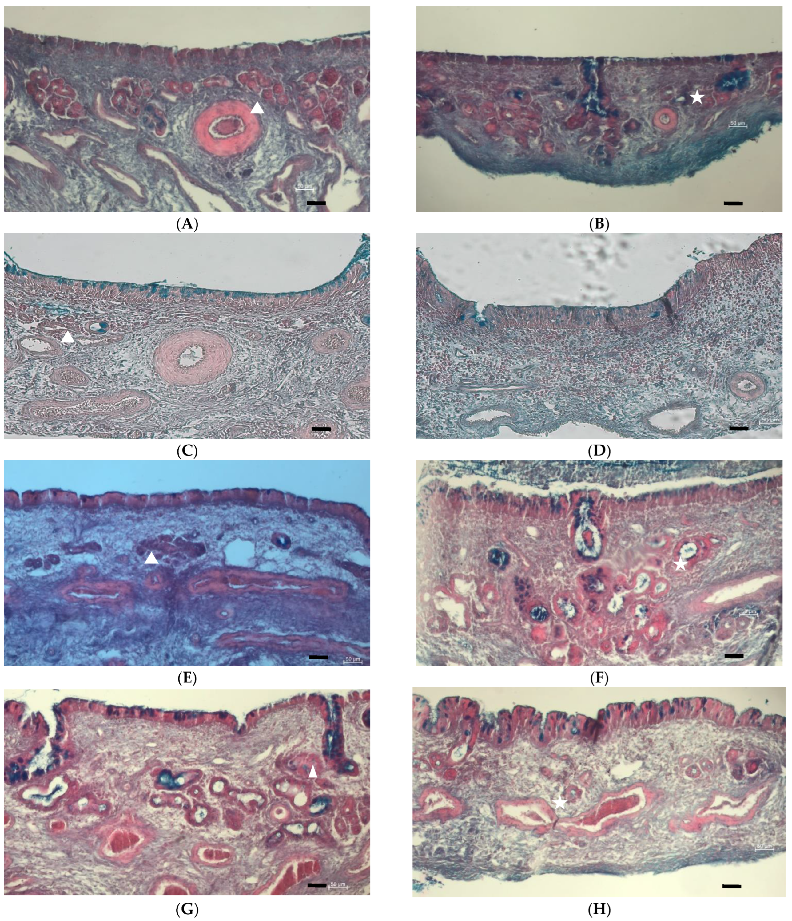 Pharmaceutics 15 01423 g005a Pharmaceutics 15 01423 g005a