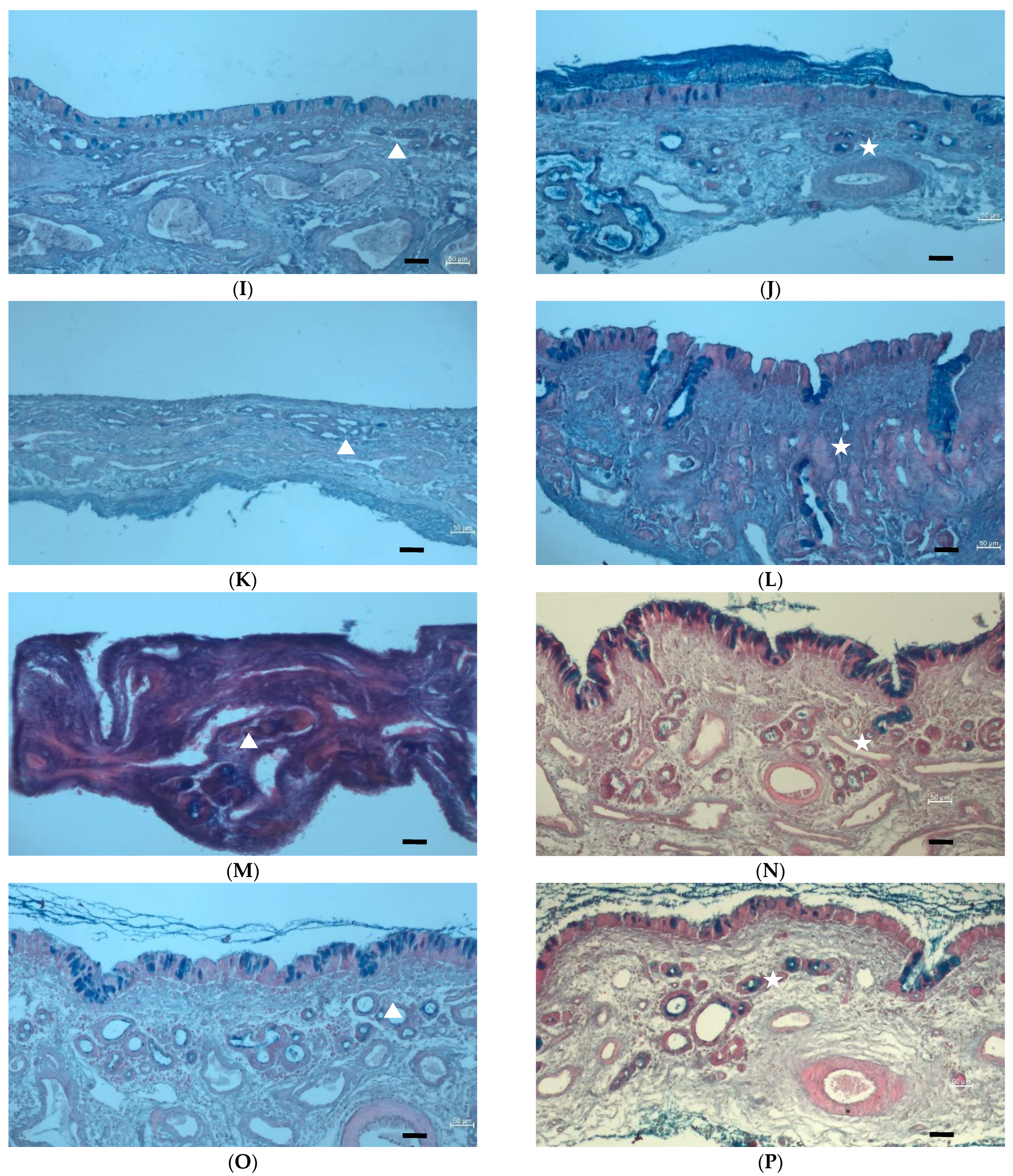 Pharmaceutics 15 01423 g005b Pharmaceutics 15 01423 g005b